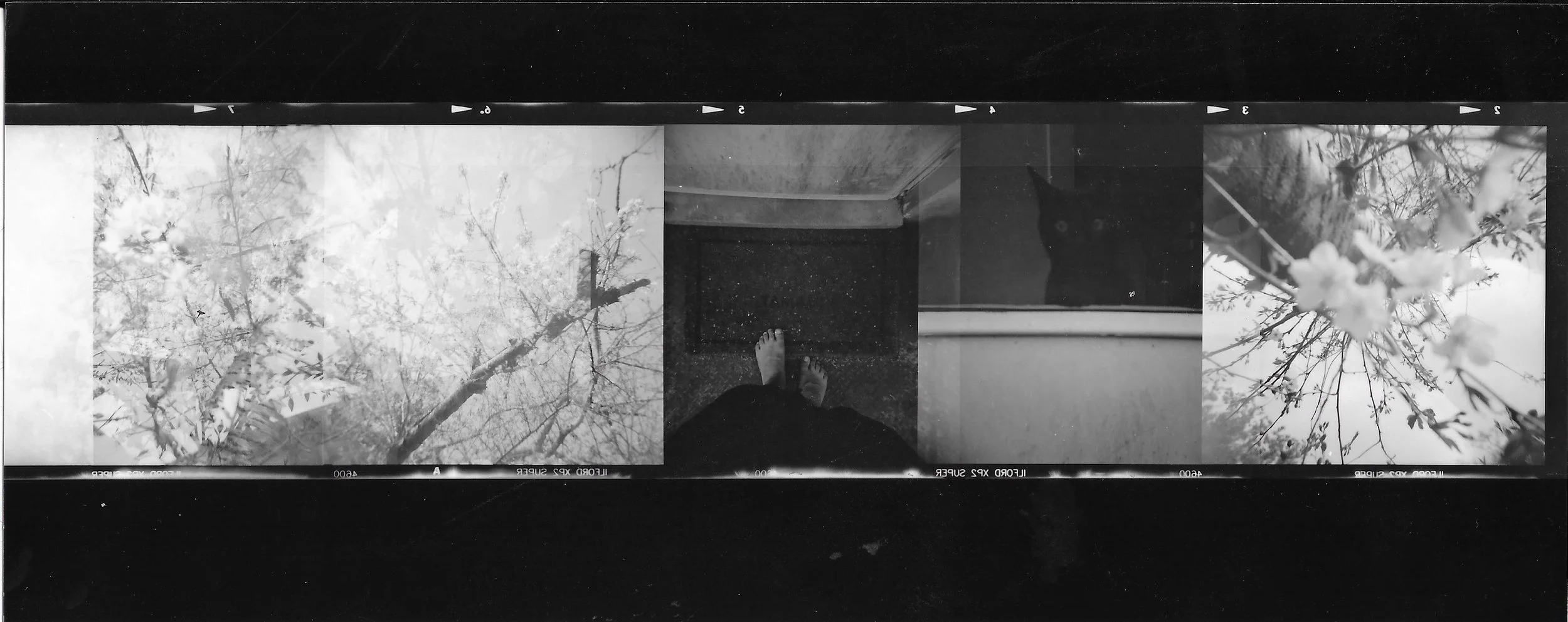 Scan_20210414 (2).jpeg