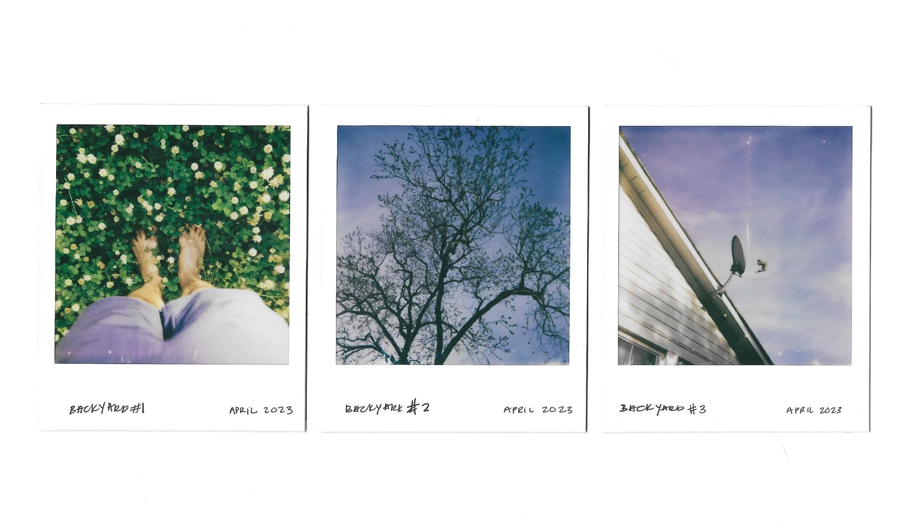 PolaroidTrio1.jpg