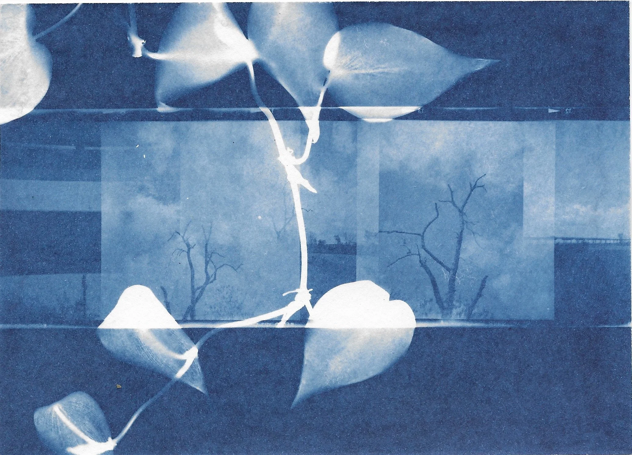 Scan_20210424 (3).jpeg