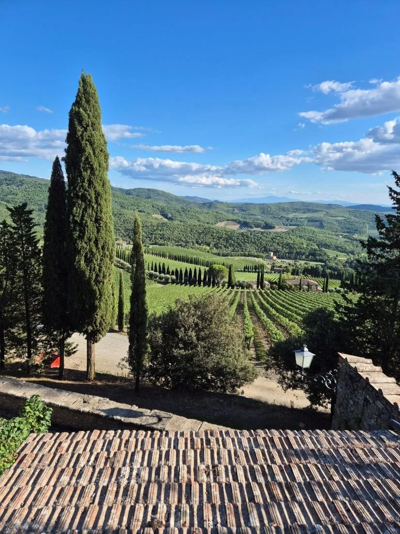 A scenic elevated view of rolling hills, structured vineyard rows, and tall cypress trees overlooking Radda in Chianti, Italy.