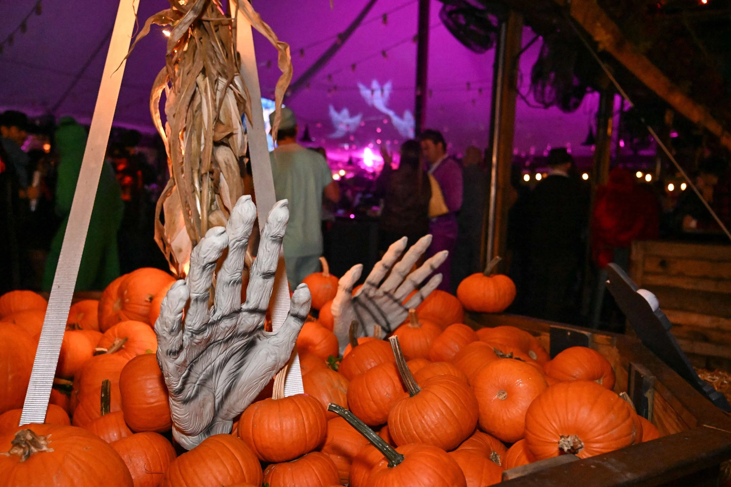 morganspier_halloween-024.jpg