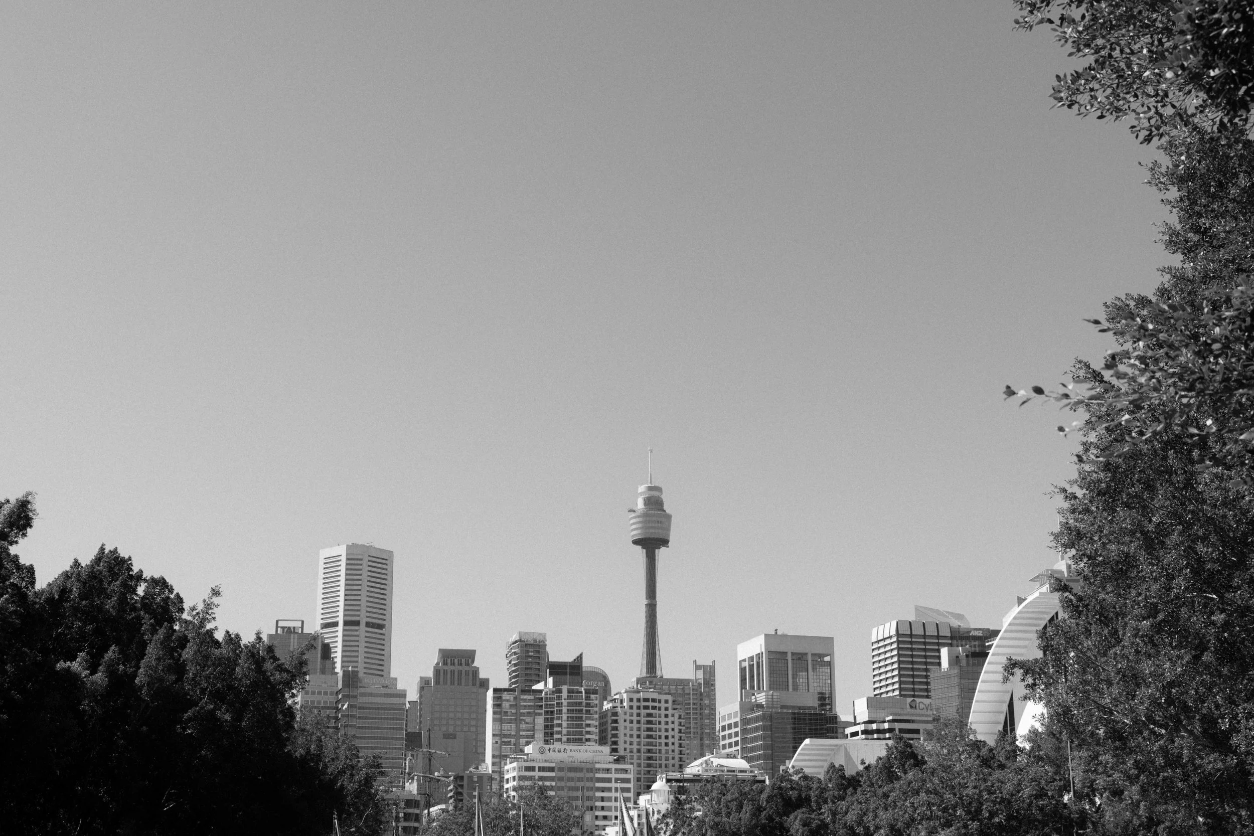 pyrmont-registry-wedding-photos-061.jpg