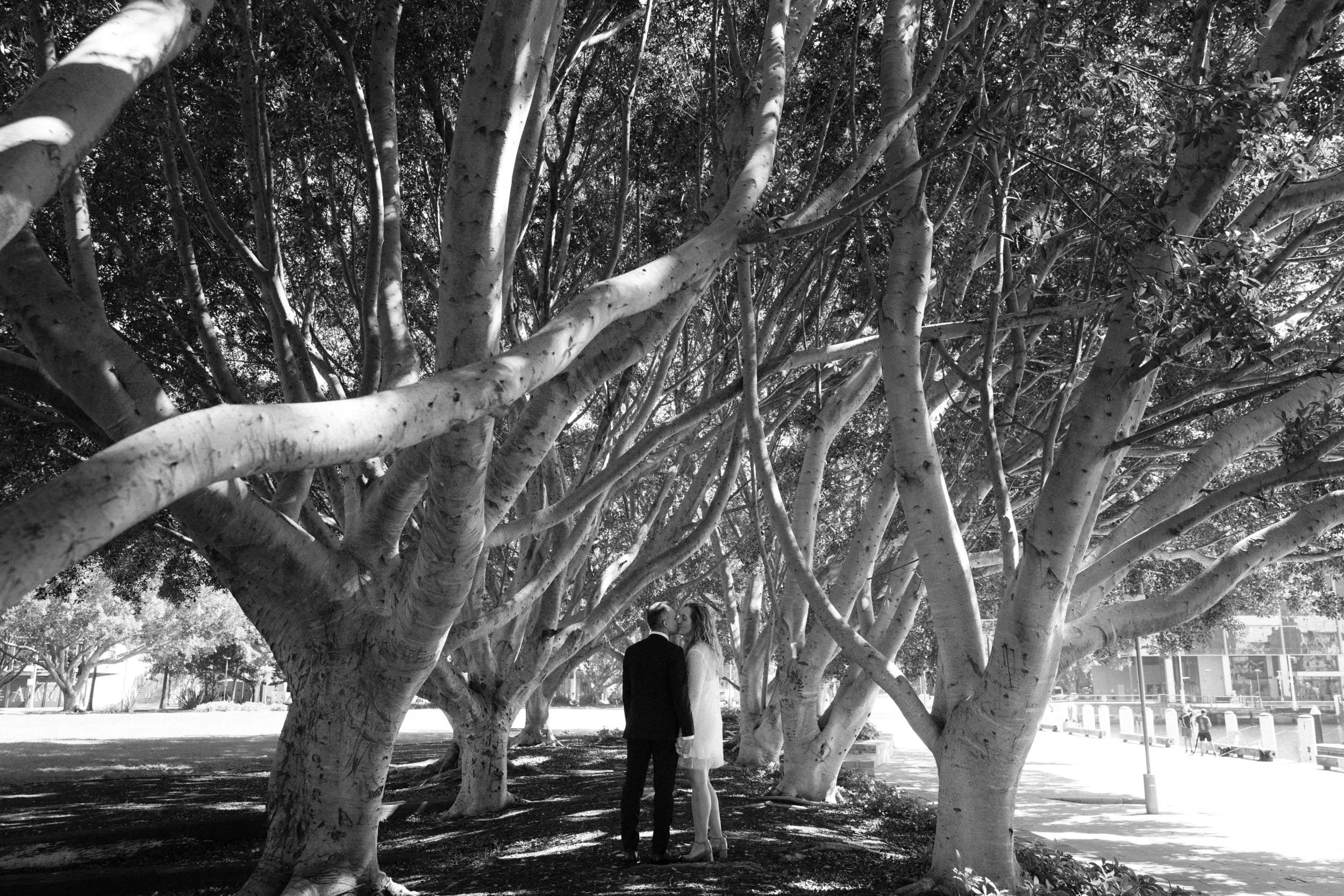 pyrmont-registry-wedding-photos-005.jpg