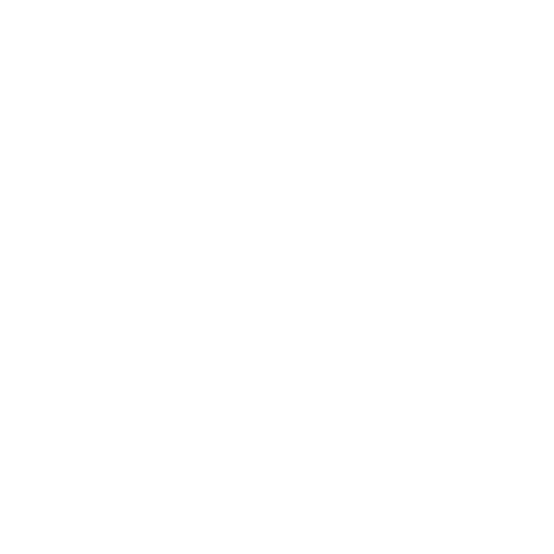 Spot On logo