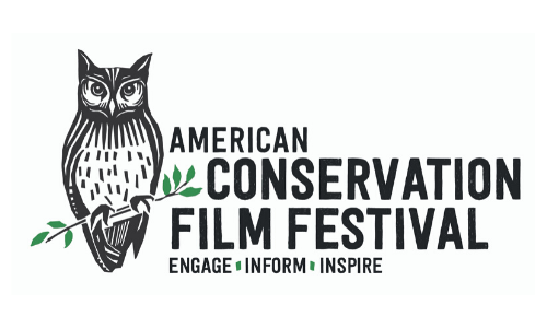 ACFF’s Best of the Fest