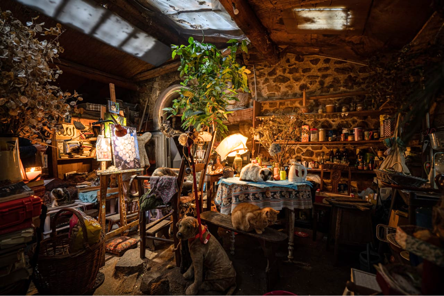 Fragments of Eden Screening 