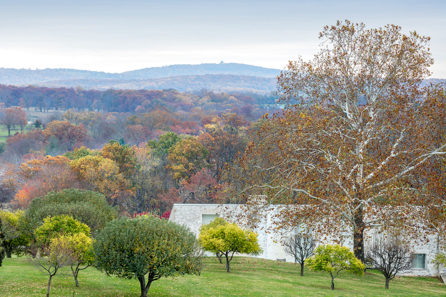 Plants and Places Reception