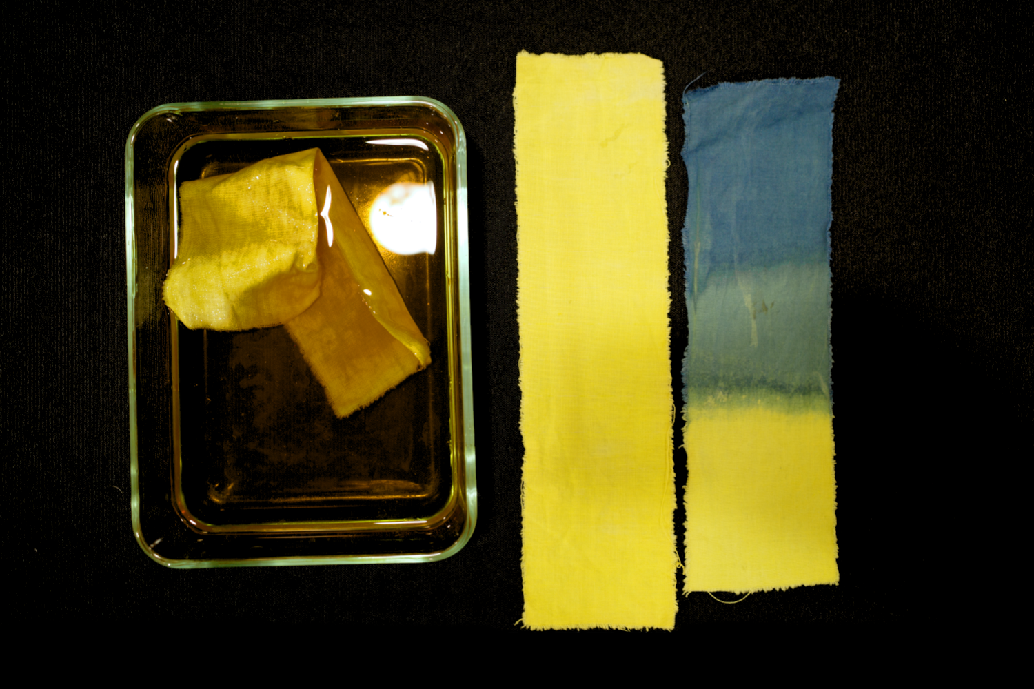 Textile Dyeing with Plants