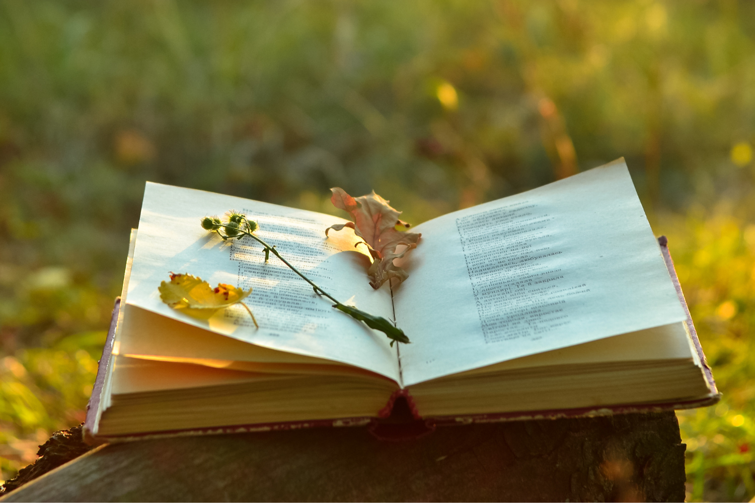 An Evening of Poetry 