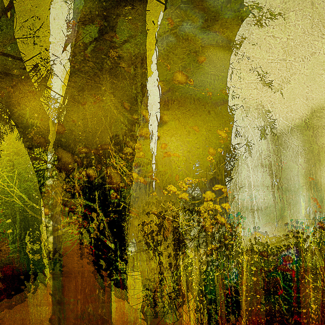 Hushed Green by Mark Zimmerman
