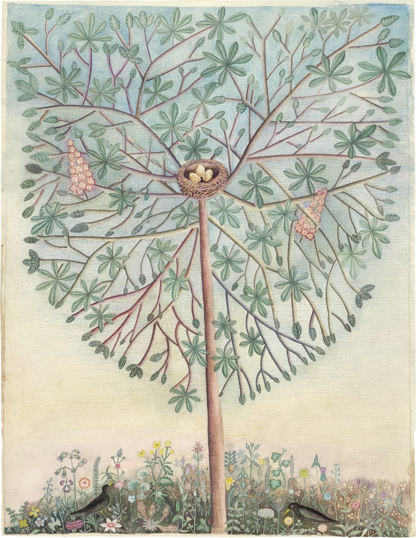 Sophie Grandval watercolor featuring the horse chestnut tree