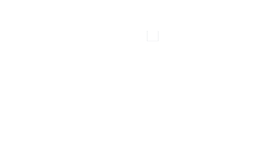 The Gaudium Group