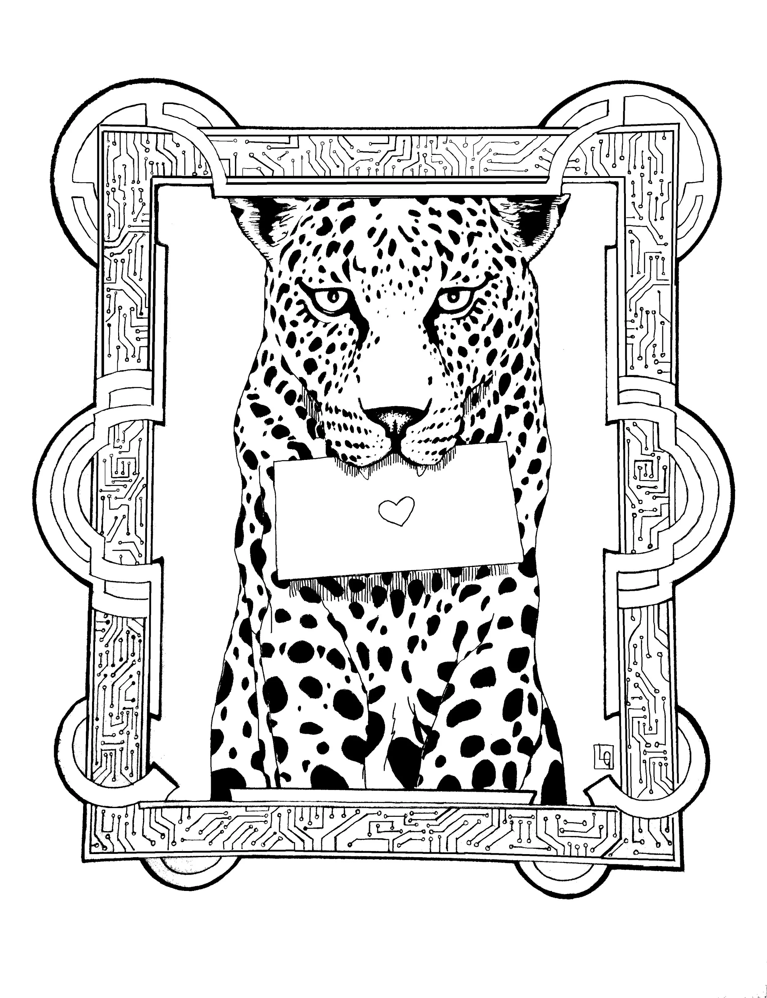 2025.7.28.Leopardv.2.jpg