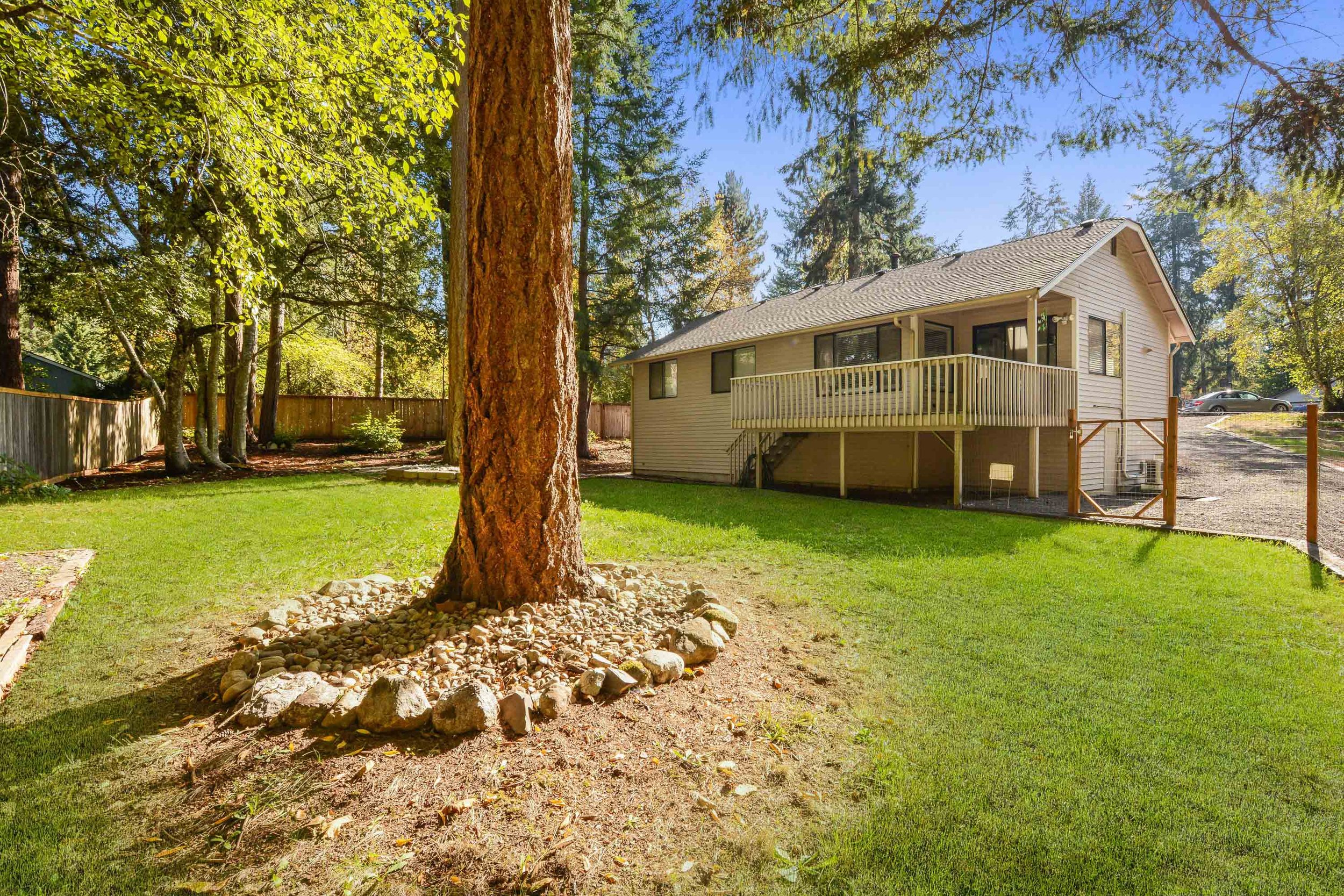 22 Backyard - Copy.jpg