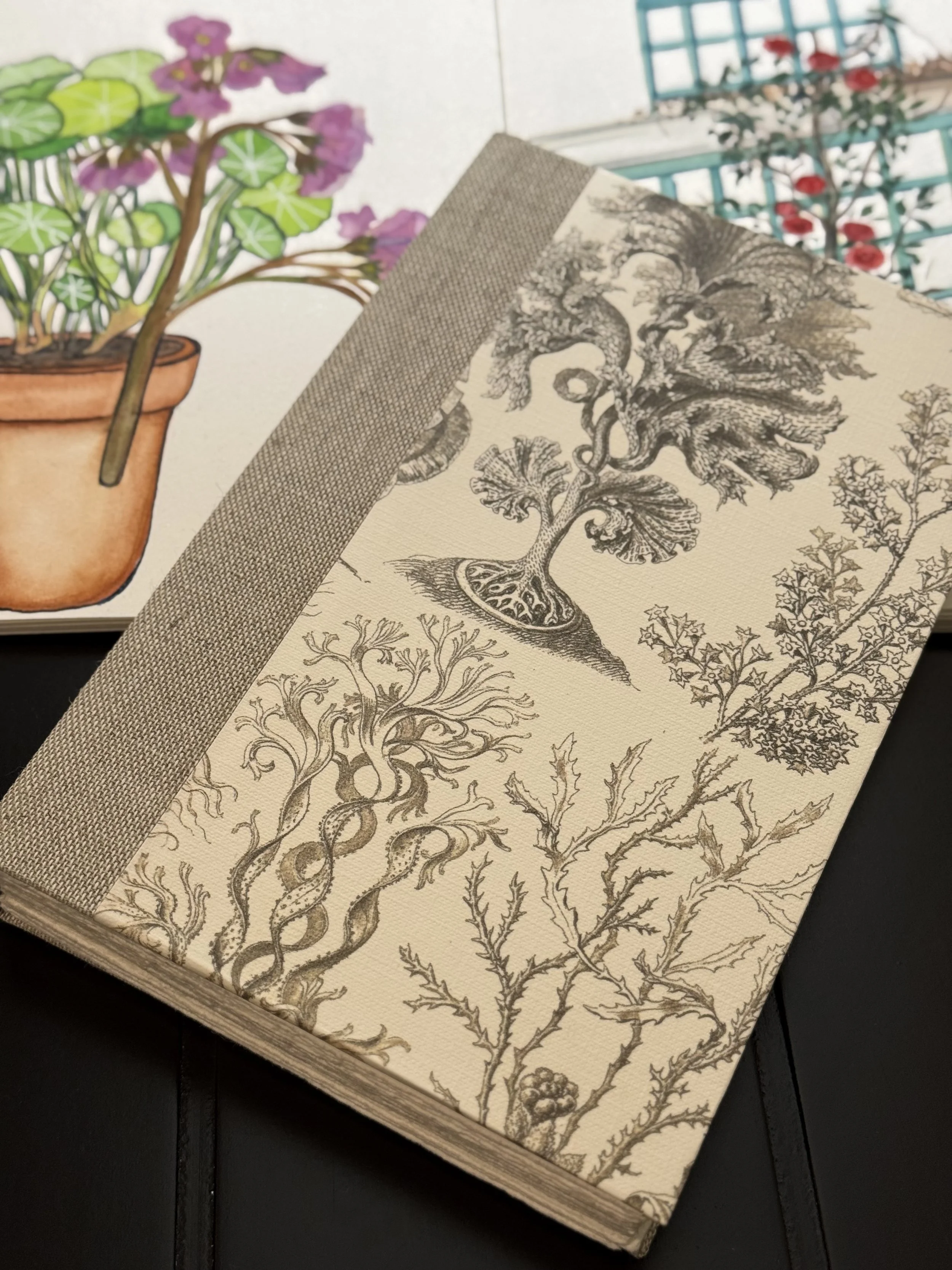 Close-up of a vintage botanical illustration book showing detailed sketches of various trees and plants.