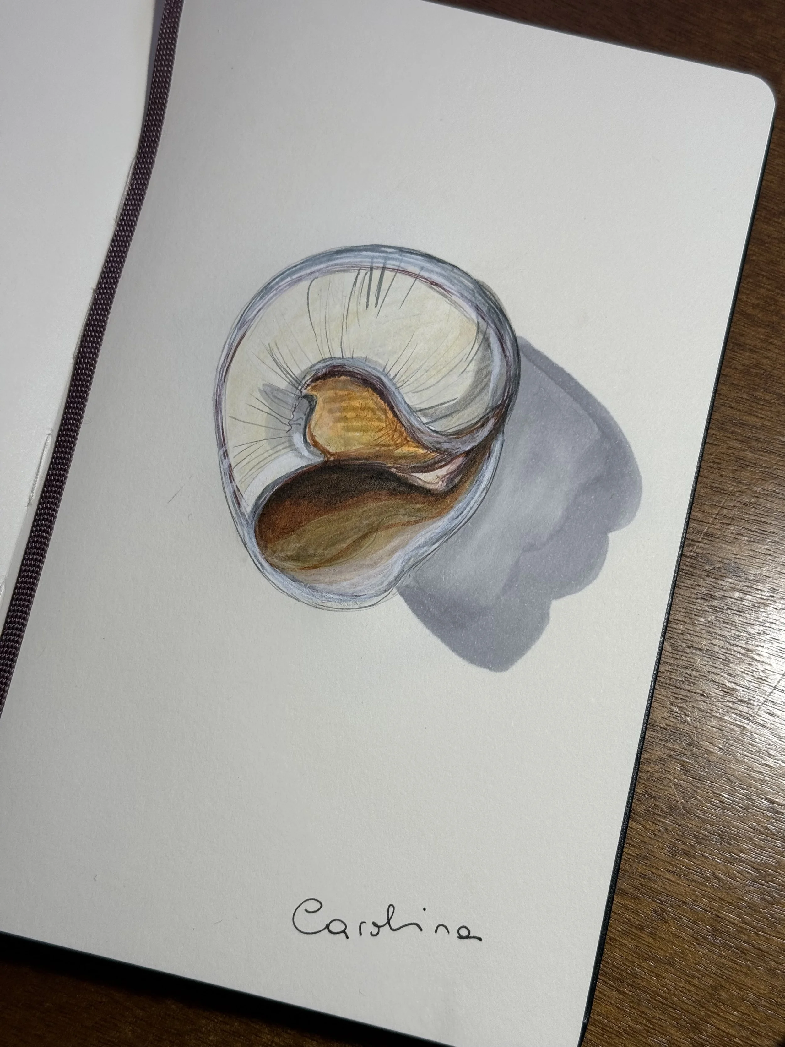 A watercolor painting of a glass containing a dark brown liquid, with a sliced lemon placed inside.