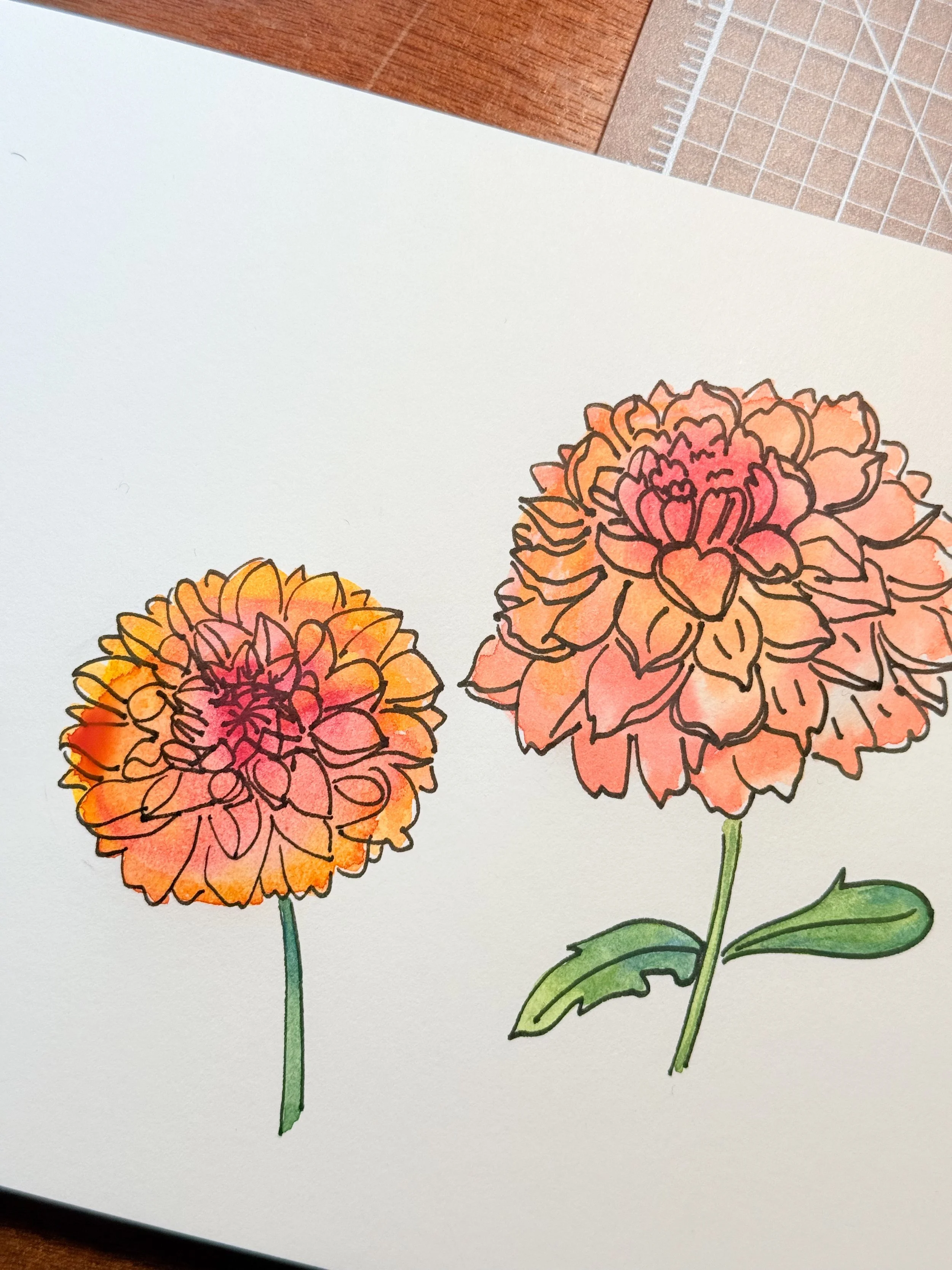 Two hand-drawn and colored flowers with green stems and leaves on white paper, with one flower on the left being smaller and the other on the right larger.