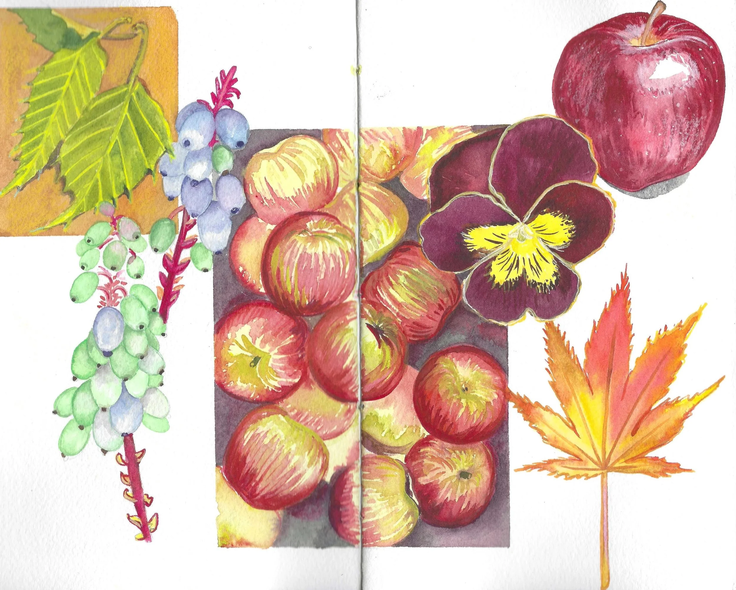 Watercolor painting of various fall items, including a cluster of apples, a sunflower, a maple leaf, grapes, and an apple with a leaf in the corner.