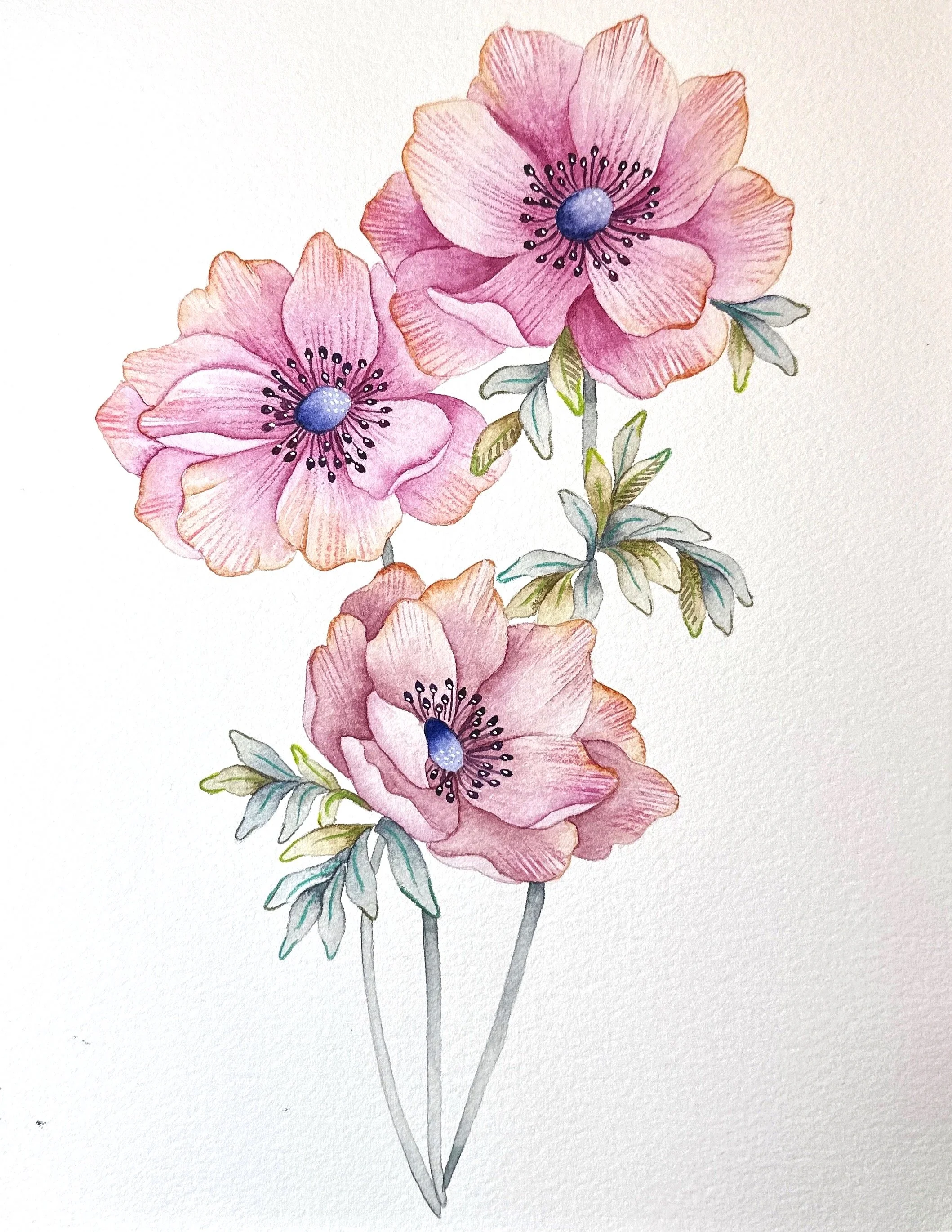 Watercolor painting of pink flowers with purple centers and green leaves on a white background.