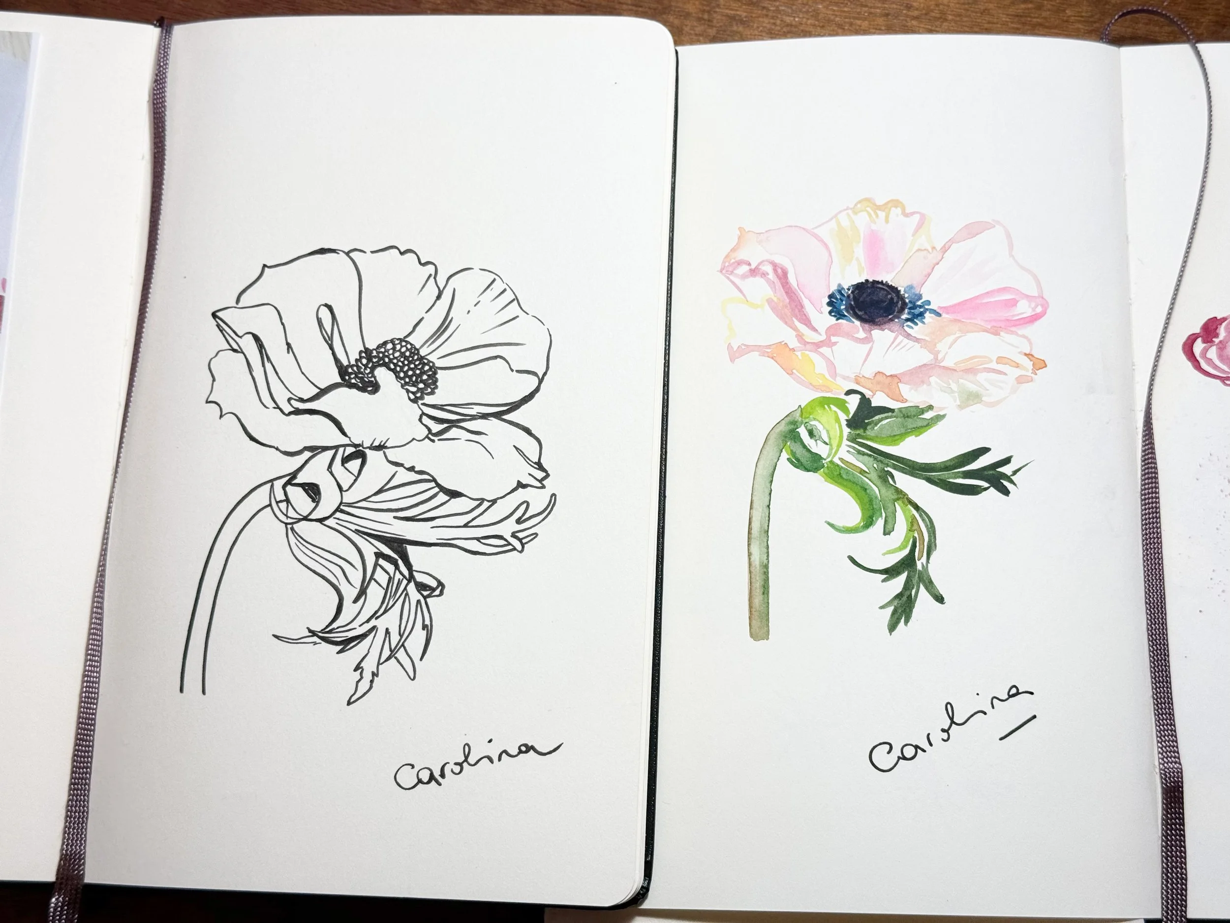 A notebook with sketches of a poppy flower, one in black ink outline and the other in watercolor with pink petals and a dark center. The word 'poppy' is handwritten below each sketch.