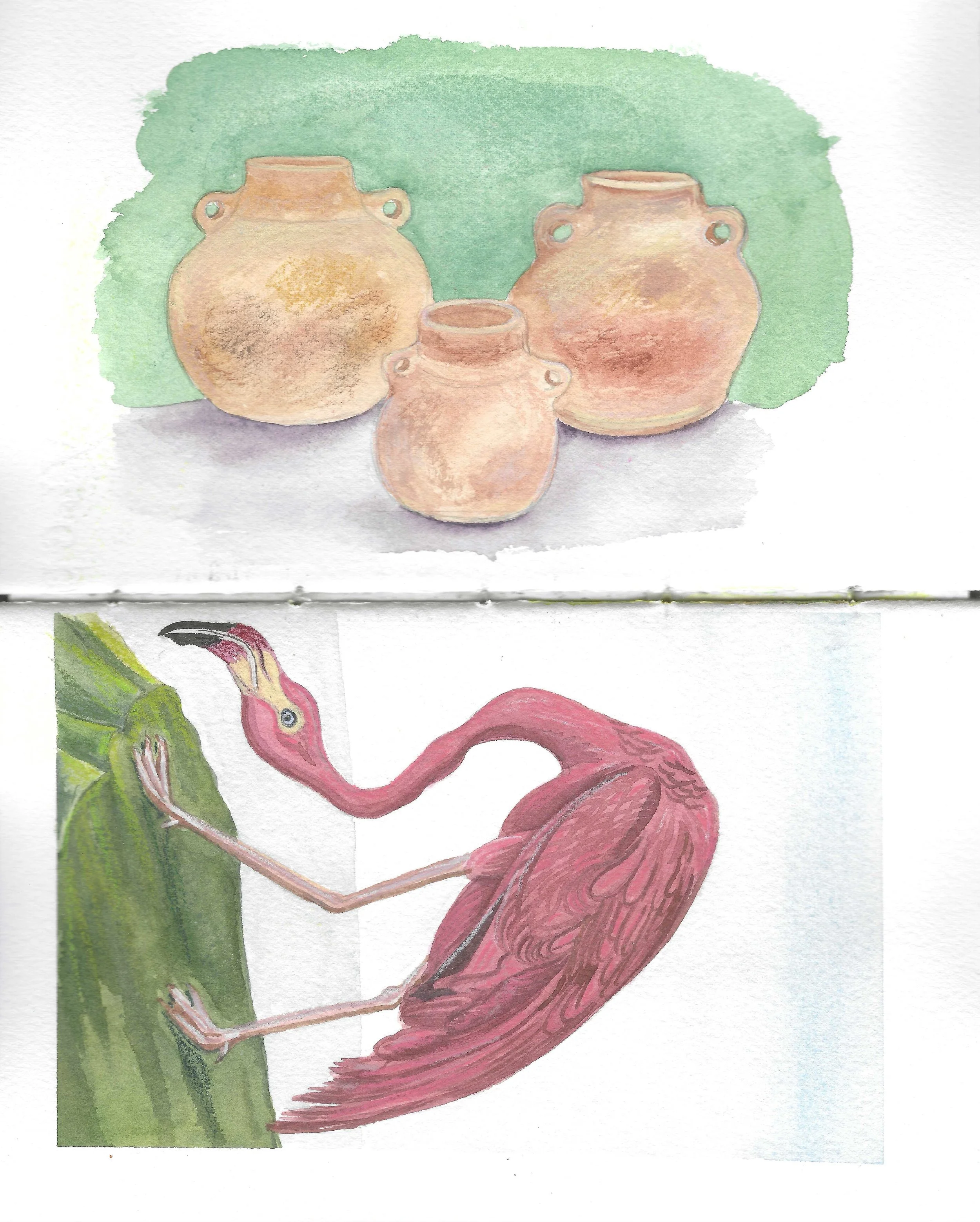 Watercolor painting of three clay pots above a painting of a pink flamingo standing on one leg near a green plant.