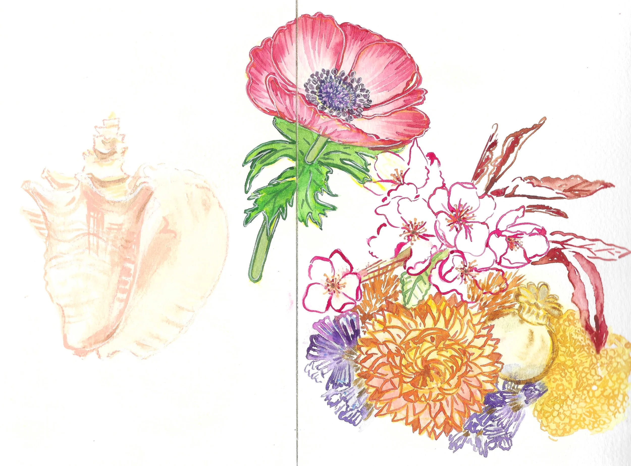 A colorful floral illustration with pink, orange, purple, and yellow flowers, including poppies, chrysanthemums, and cherry blossoms, arranged on a white background.