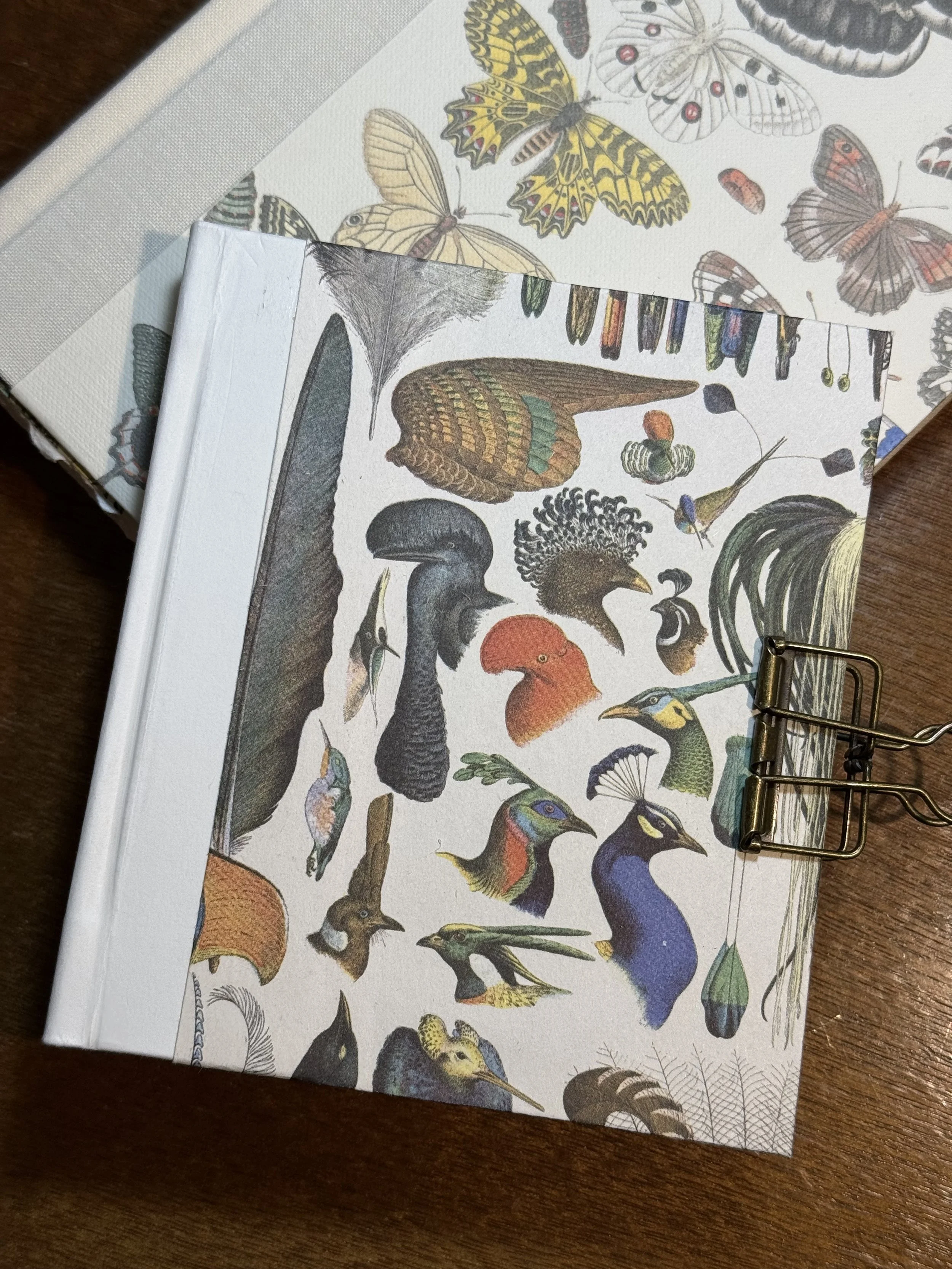 A notebook with illustrations of various birds on the cover, placed on top of a larger book or box with butterfly illustrations. The objects are on a wooden surface.