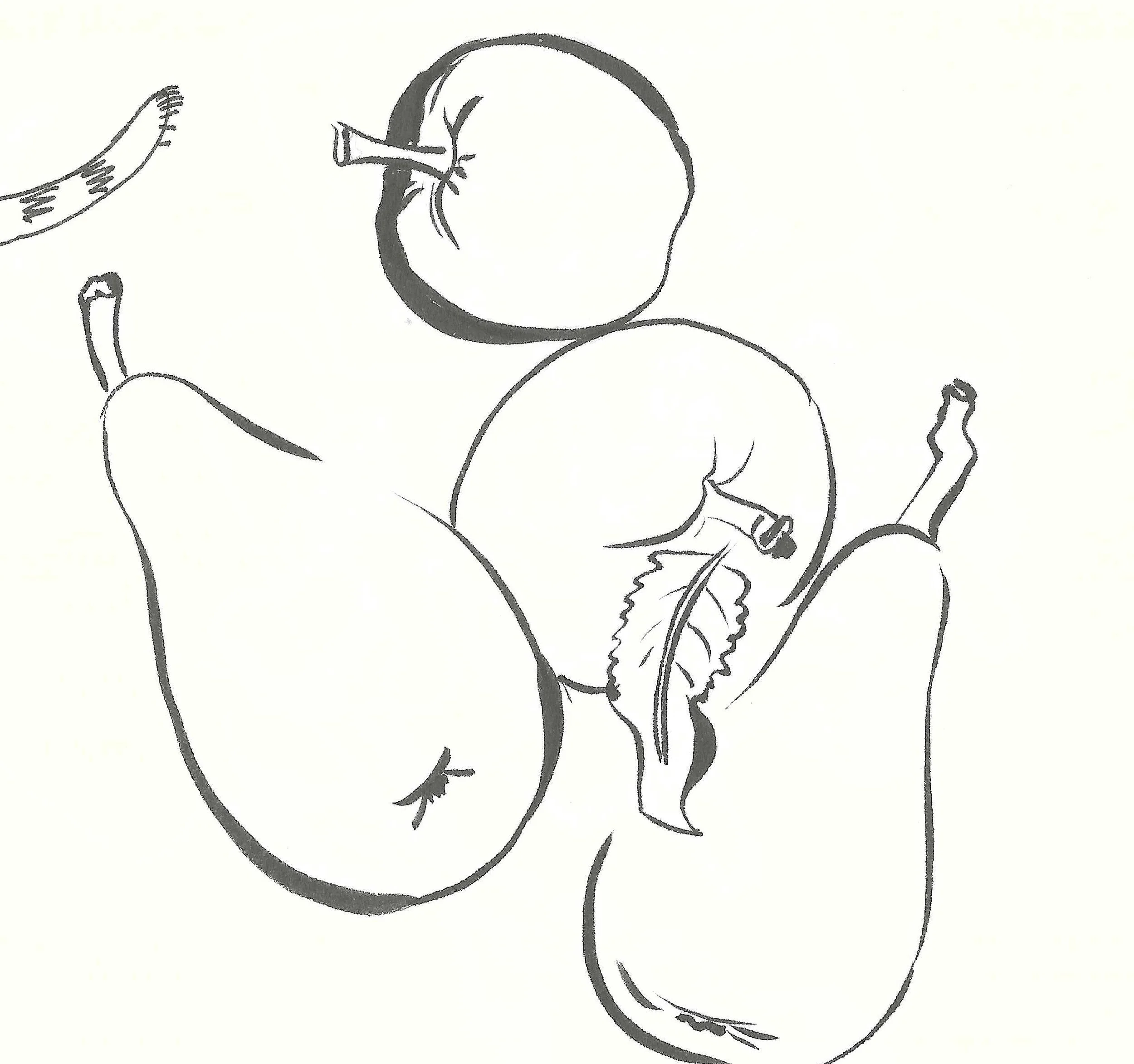 Black and white line drawing of several pears and a pear with its stem and leaf, some with stems, arranged on a flat surface.