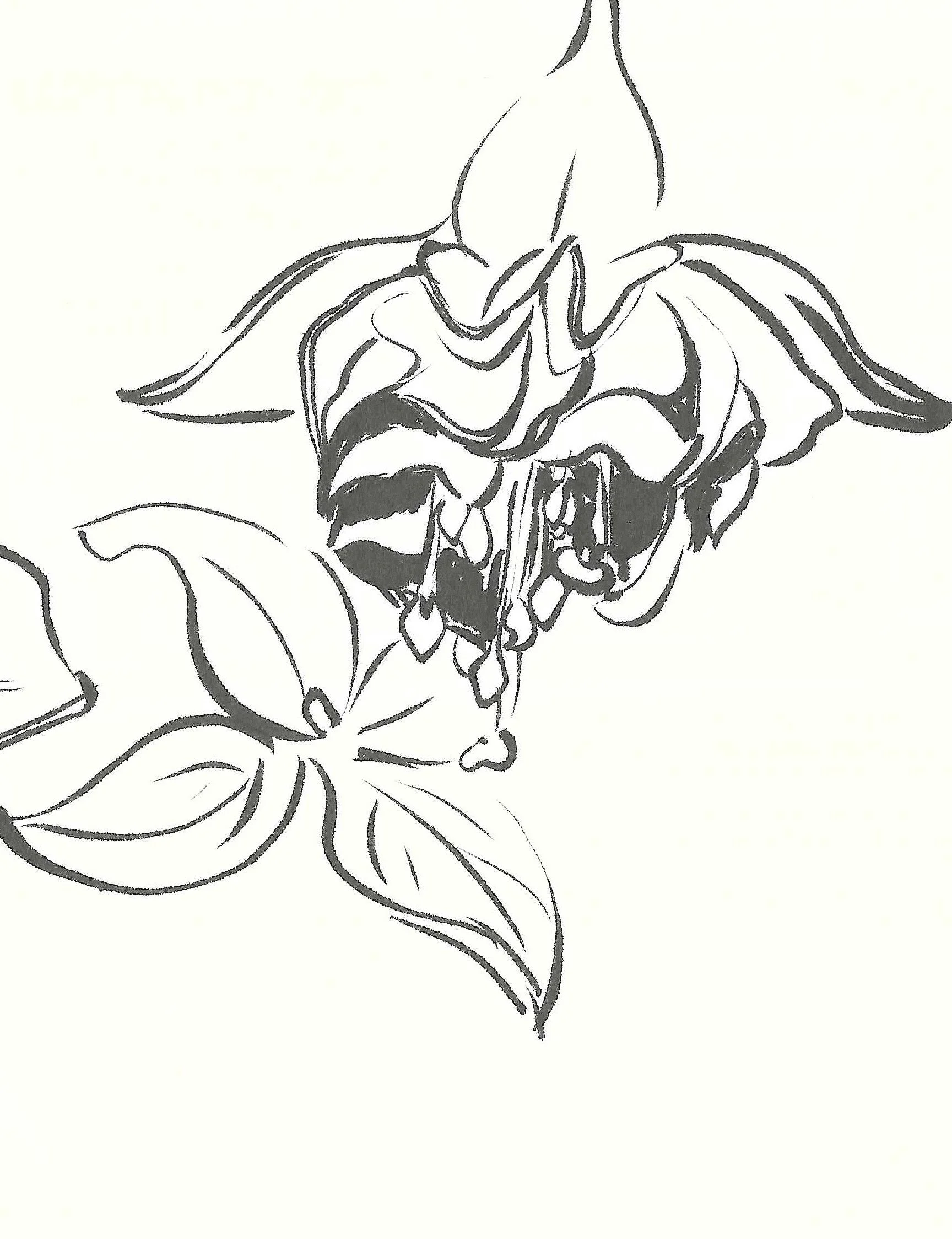 Black and white line drawing of a rose with partially detailed petals and leaves.