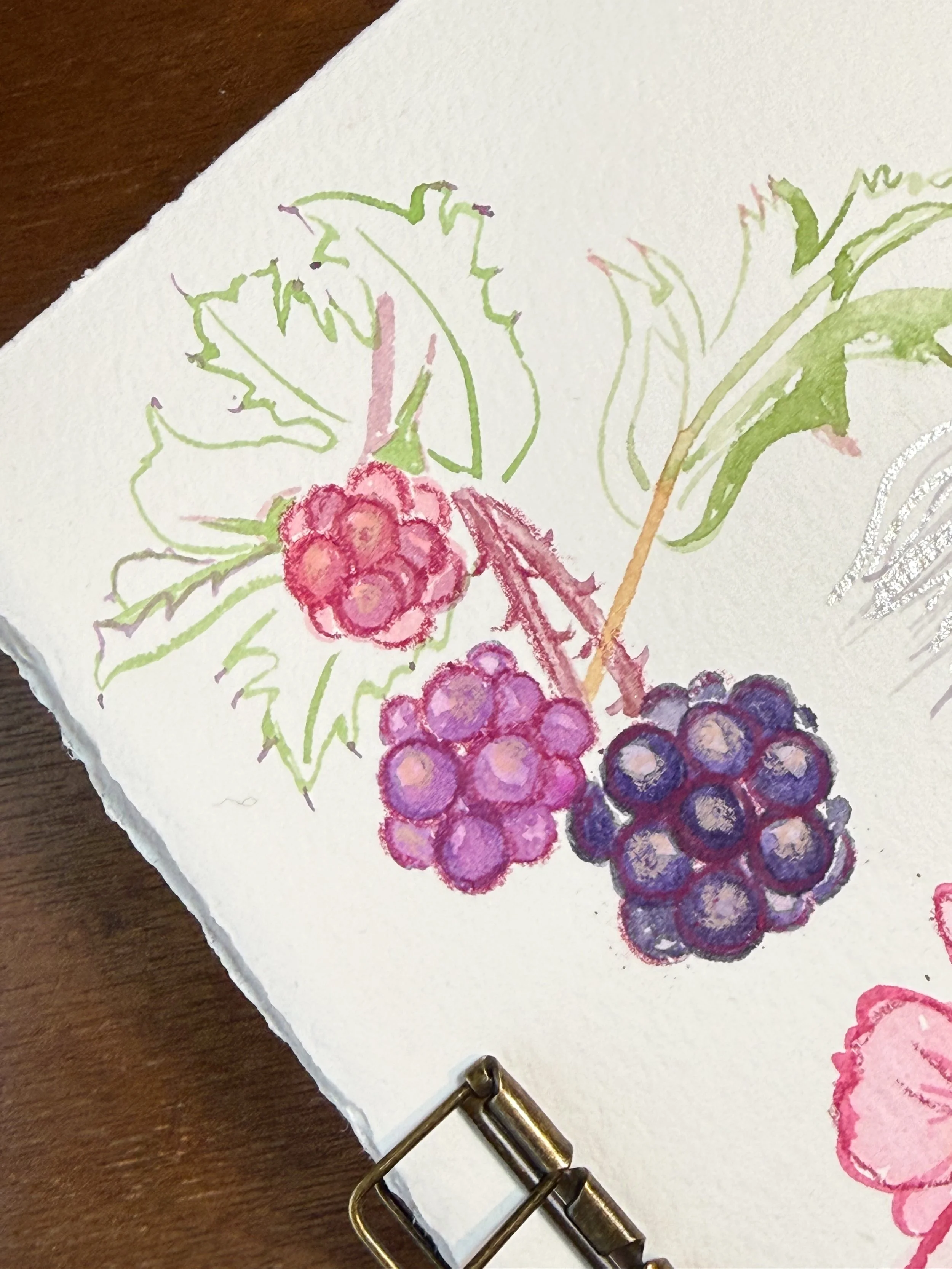 Watercolor painting of a black raspberry plant with three clusters of raspberries in red, pink, and purple shades, along with green leaves.