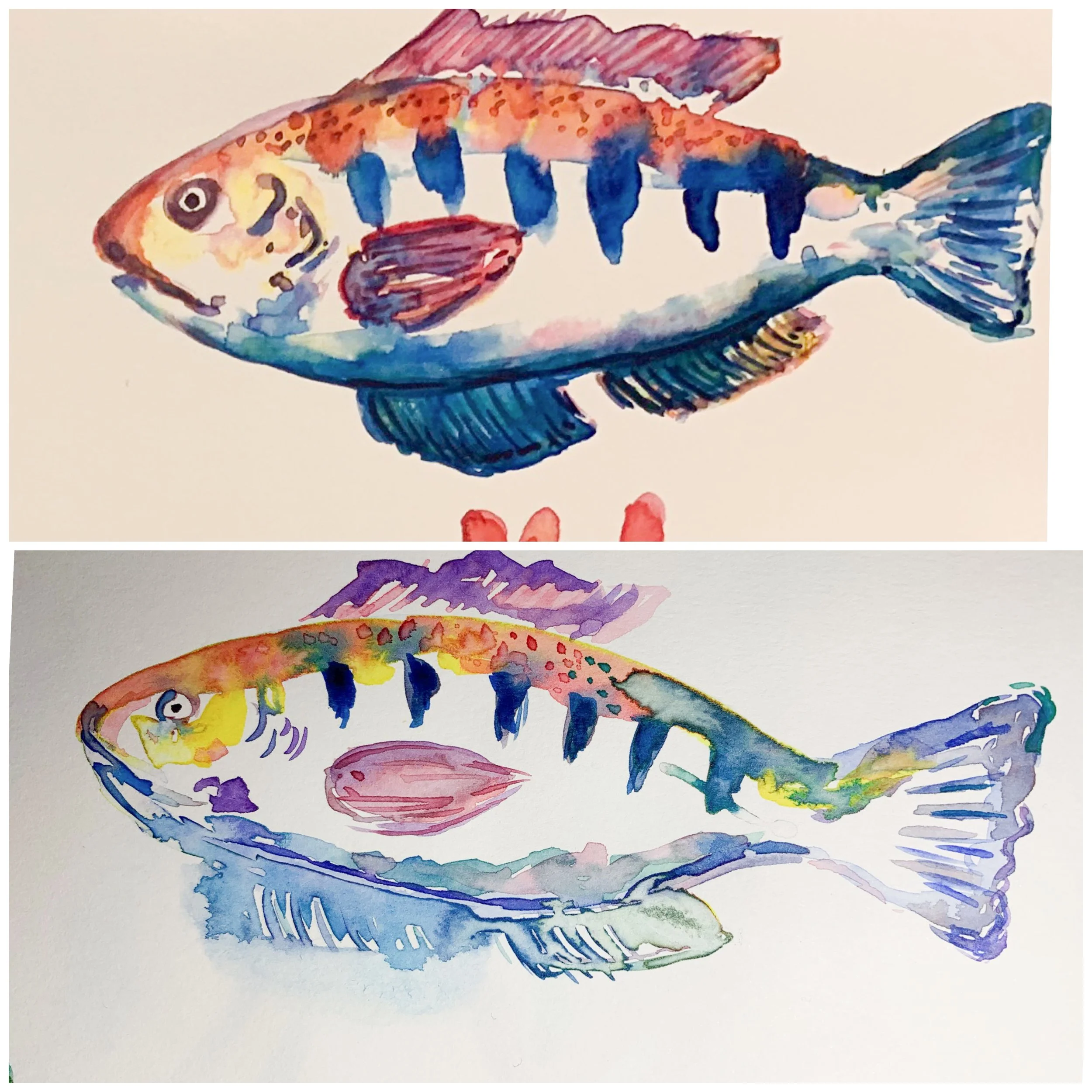 Two watercolor paintings of colorful fish, one above the other, with vibrant shades of blue, yellow, red, and purple.