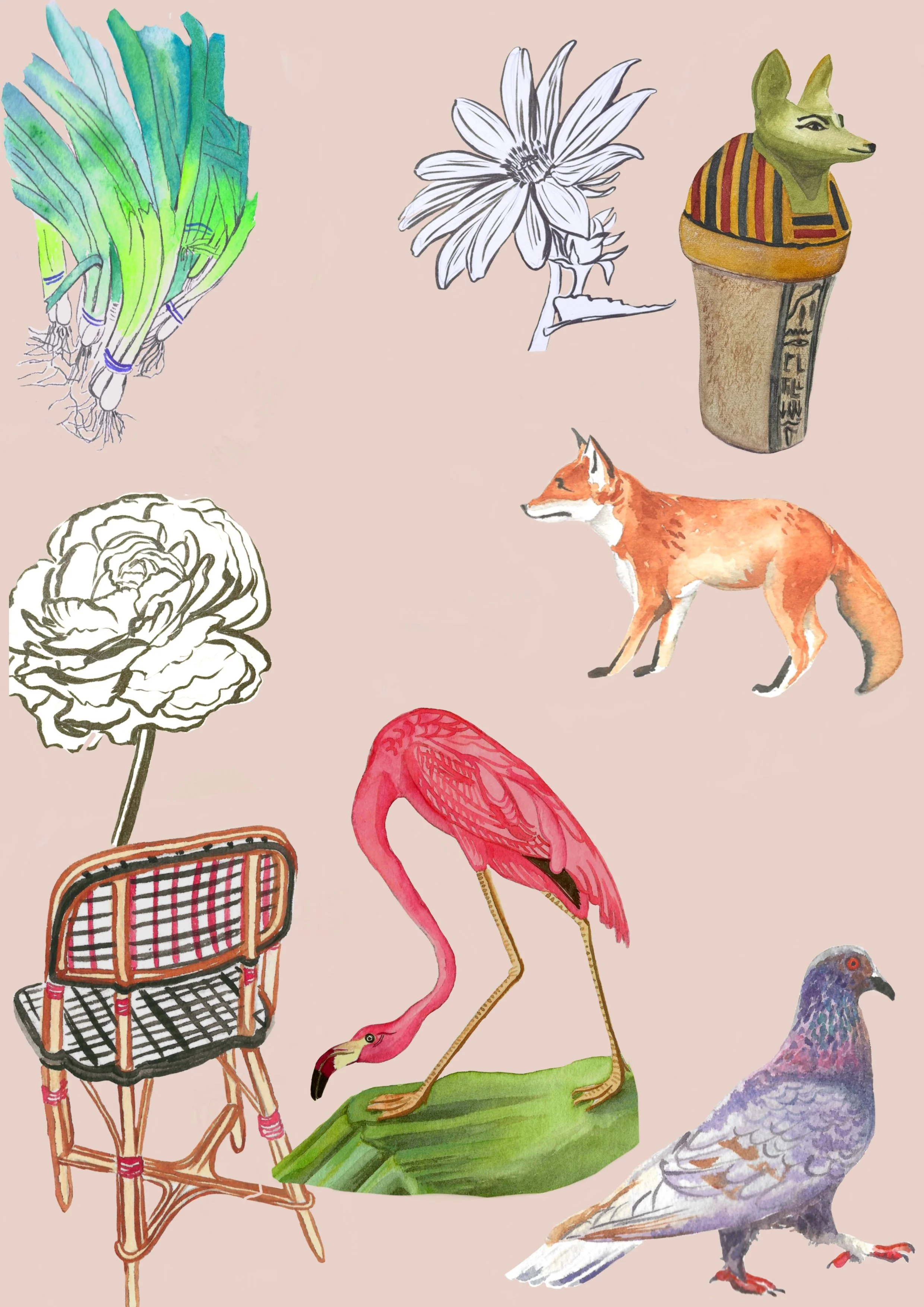 Collection of illustrated objects including green onions, a daisy, the head of an ancient Egyptian cat, a stylized white peony, a pink flamingo, a fox, a pigeon, and a vintage chair.