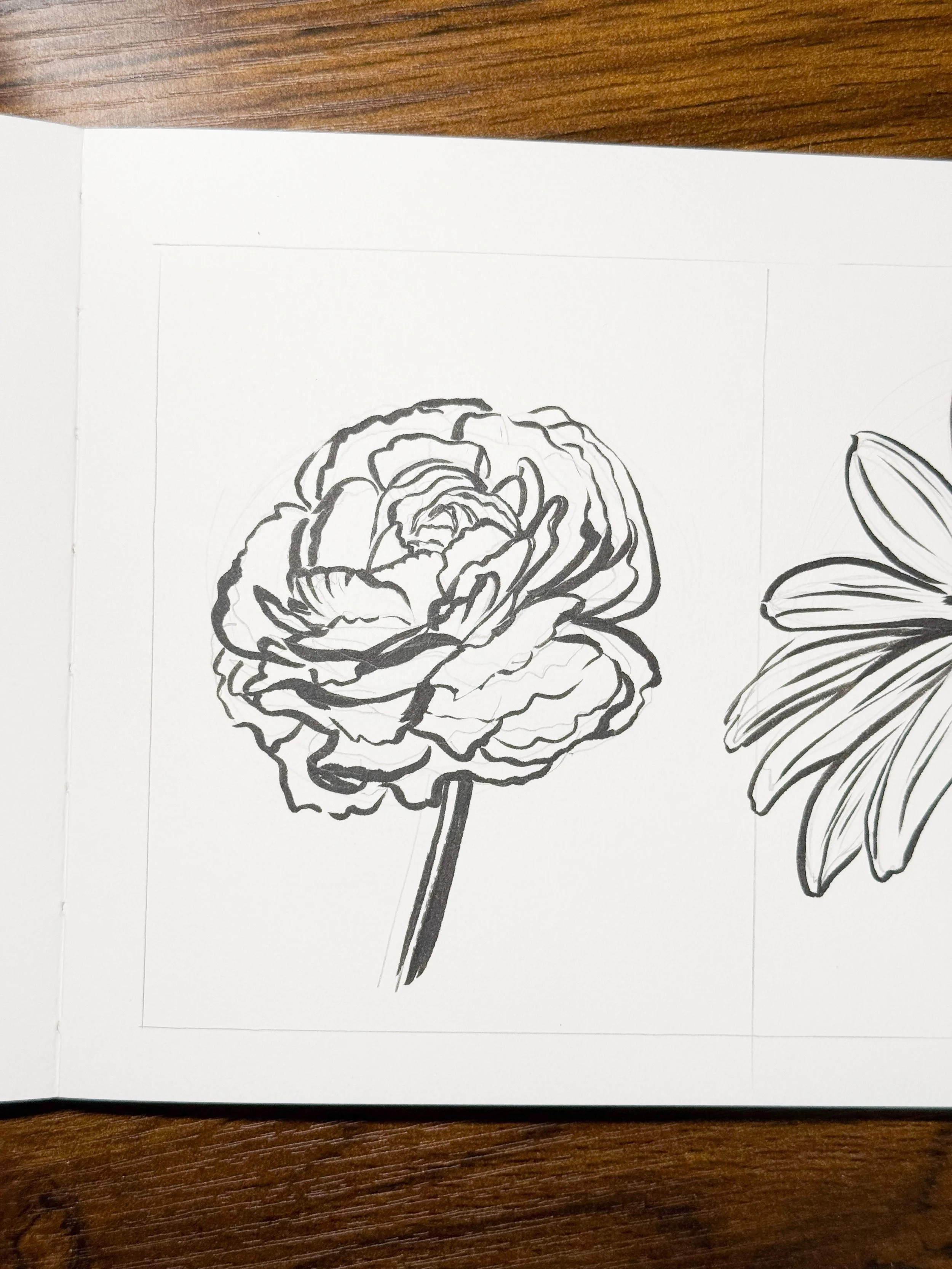 Black and white sketch of a fully bloomed flower with detailed petals and a long stem, drawn in a realistic style.