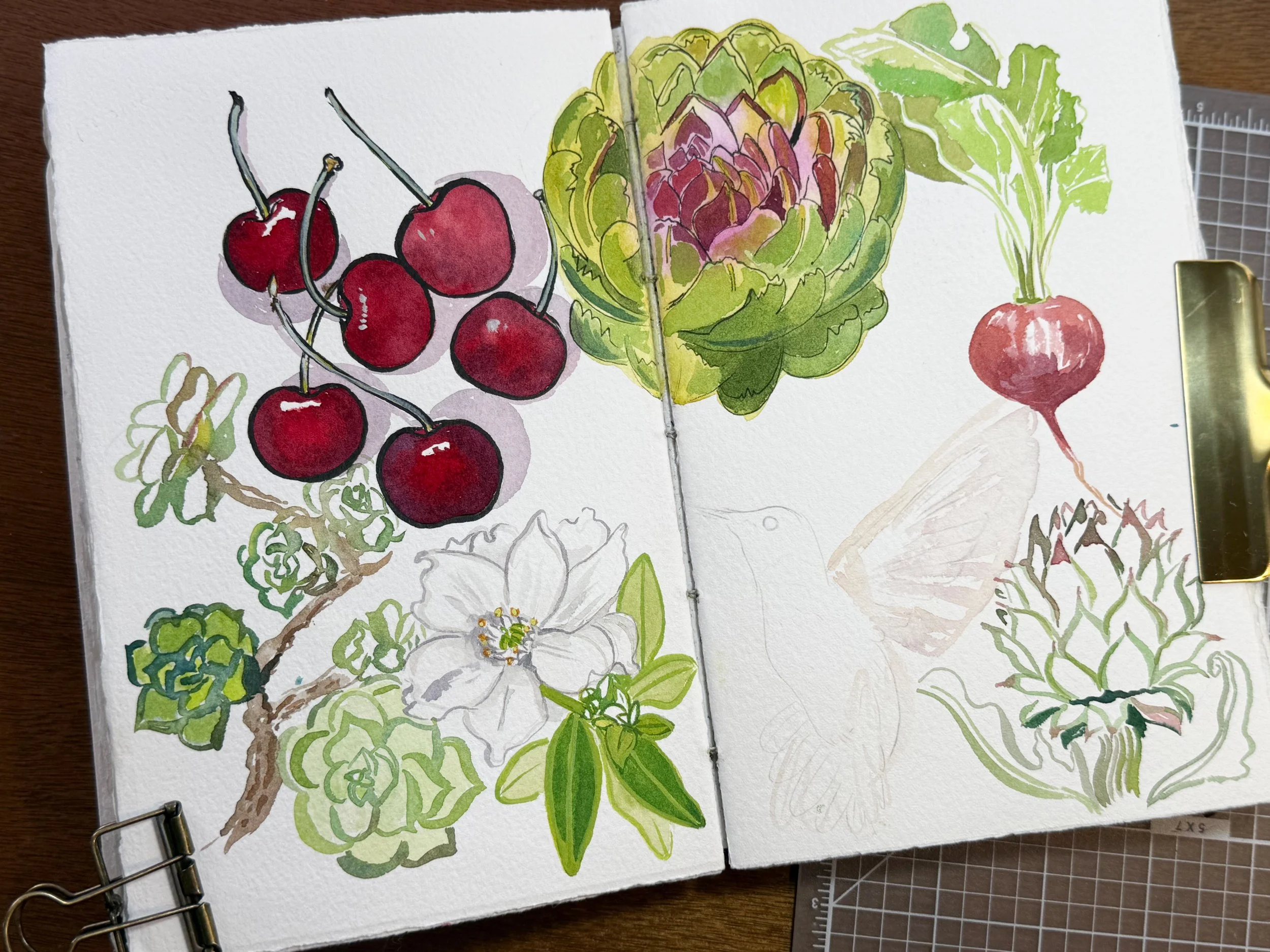Open sketchbook featuring watercolor illustrations of cherries, an artichoke, a radish, a white flower, and a leafy plant, with some sketches faintly visible.