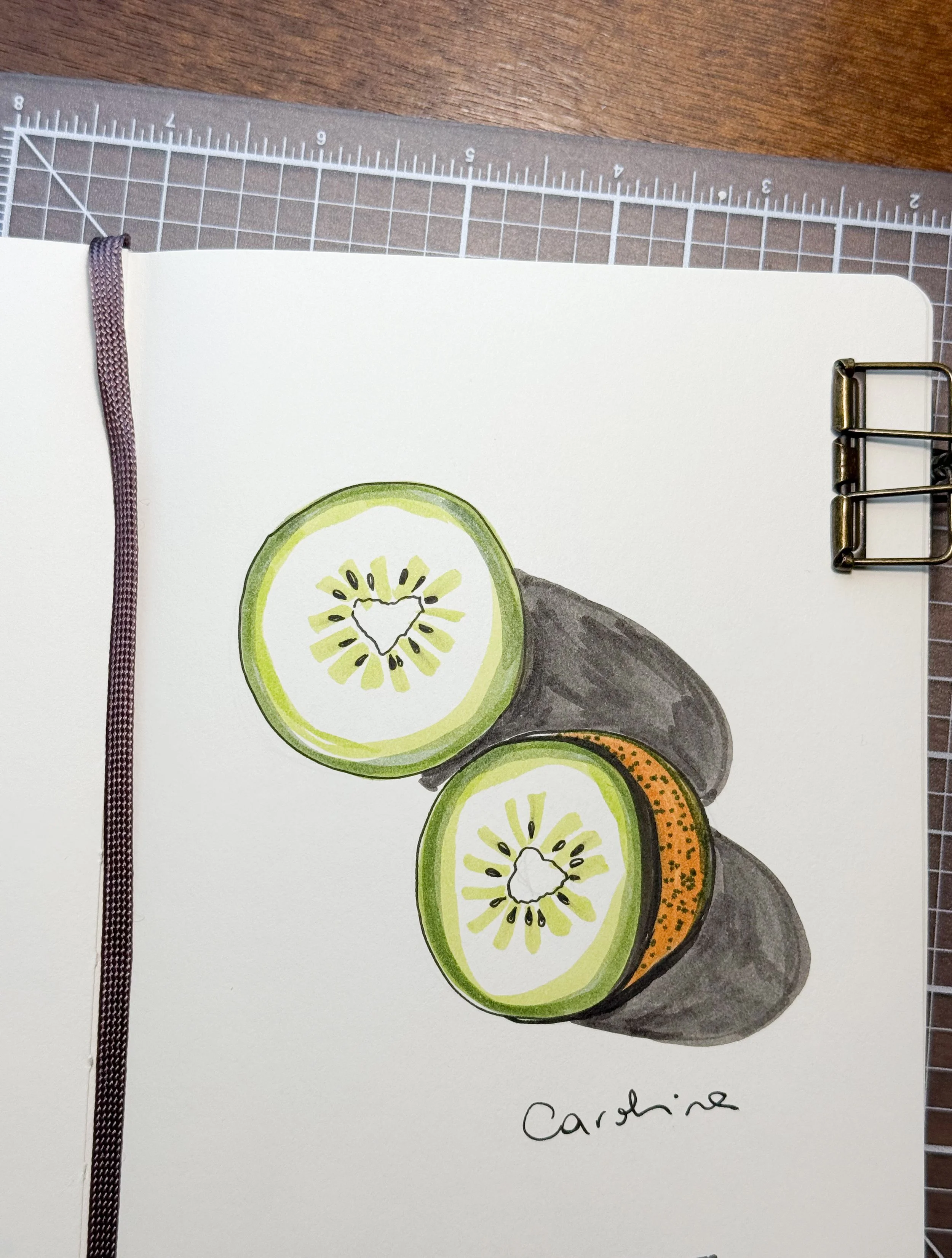 A sketch of two slices of kiwi fruit on a white sheet of paper The drawing uses color and shading to depict the fruit.