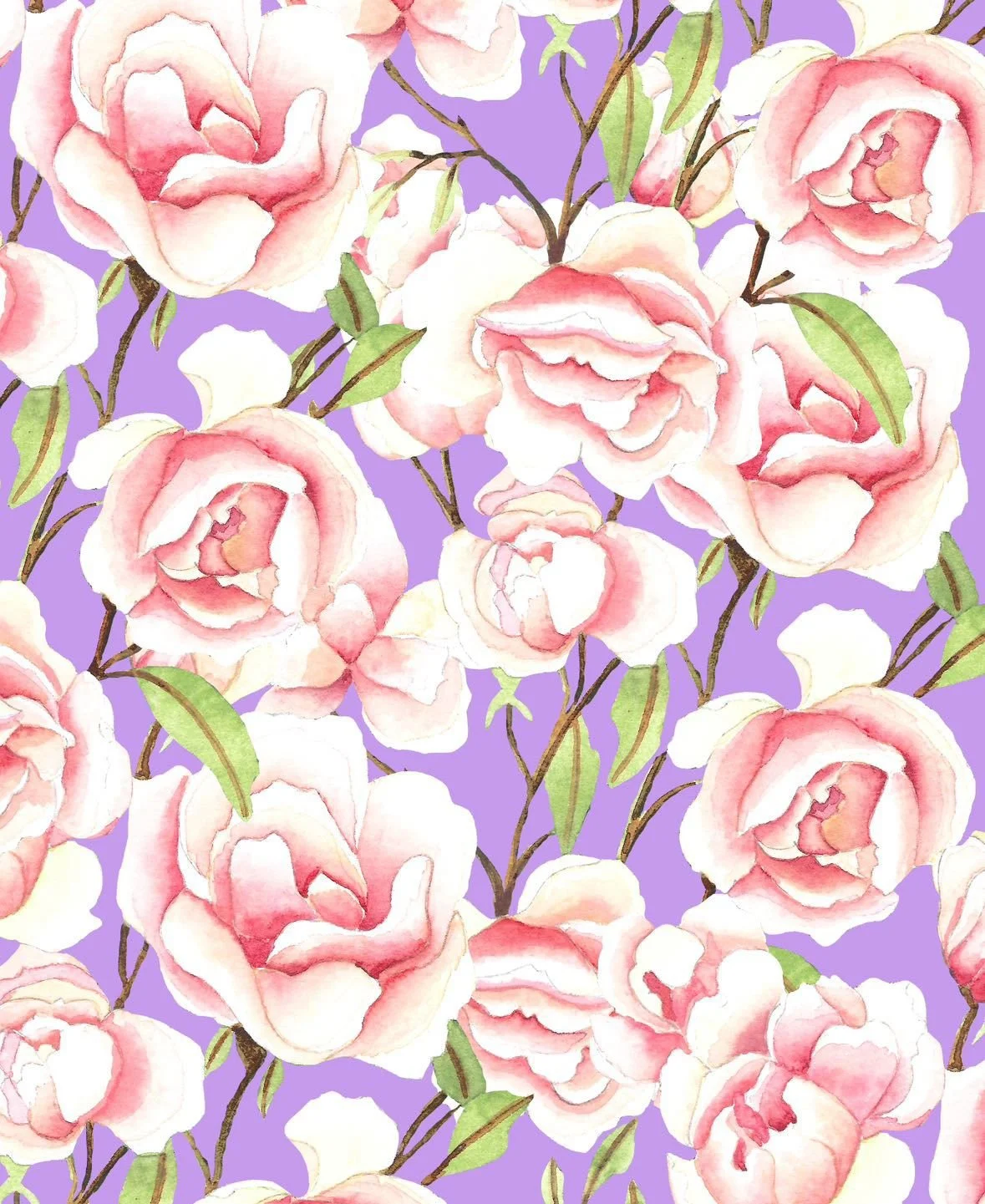 Watercolor painting of pink and white peonies with green leaves on a purple background.
