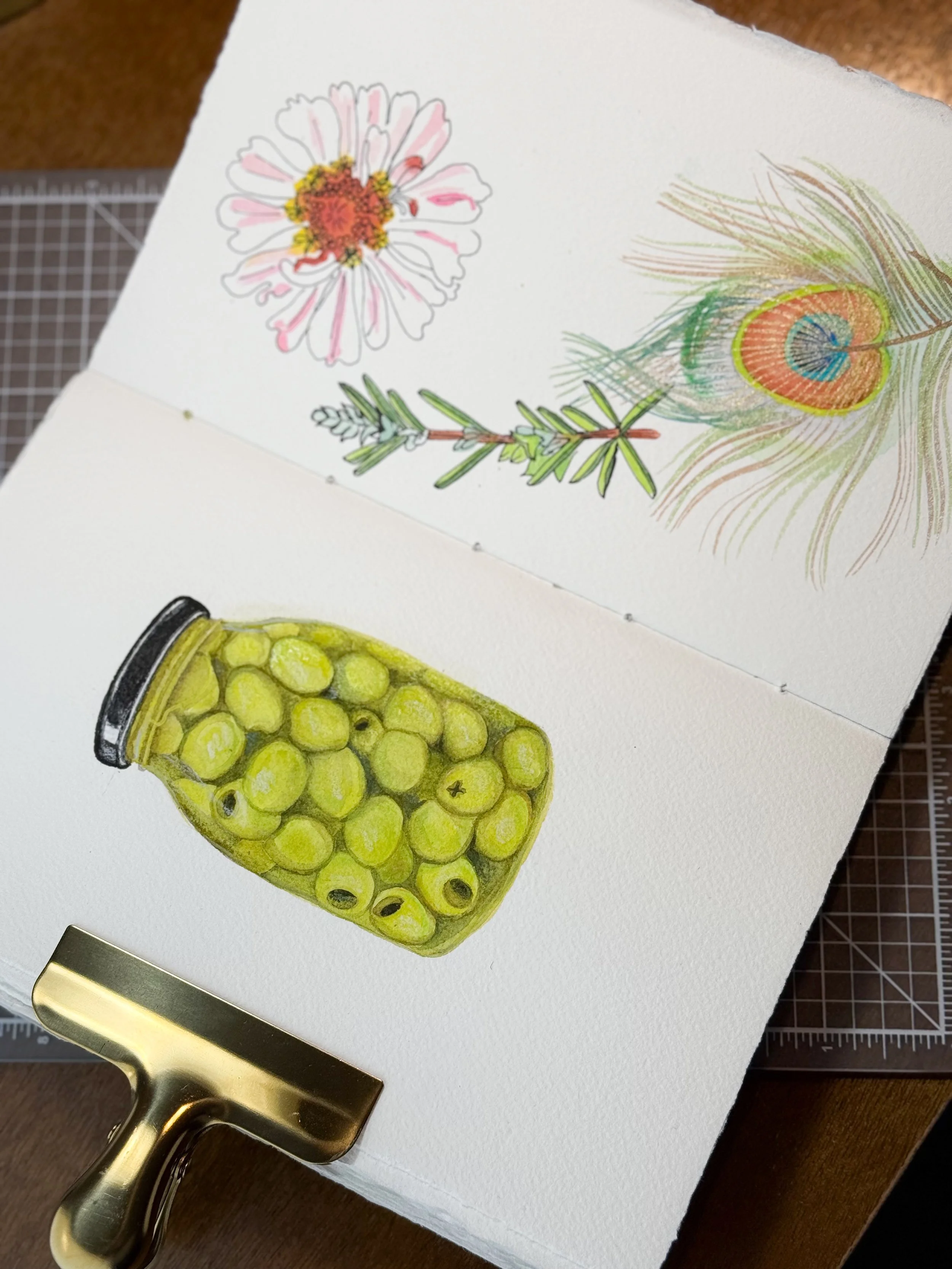 A watercolor sketchbook with drawings of a flower, a peacock feather, and a jar of yellow-green berries, clipped with a gold clip, on a brown surface with a grid-lined cutting mat nearby.
