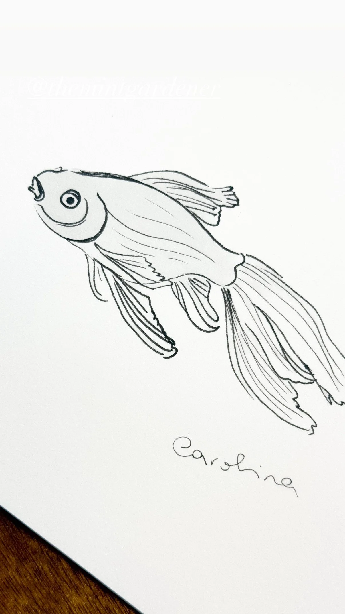 A black and white line drawing of a fish with the word "Caroline" written below.