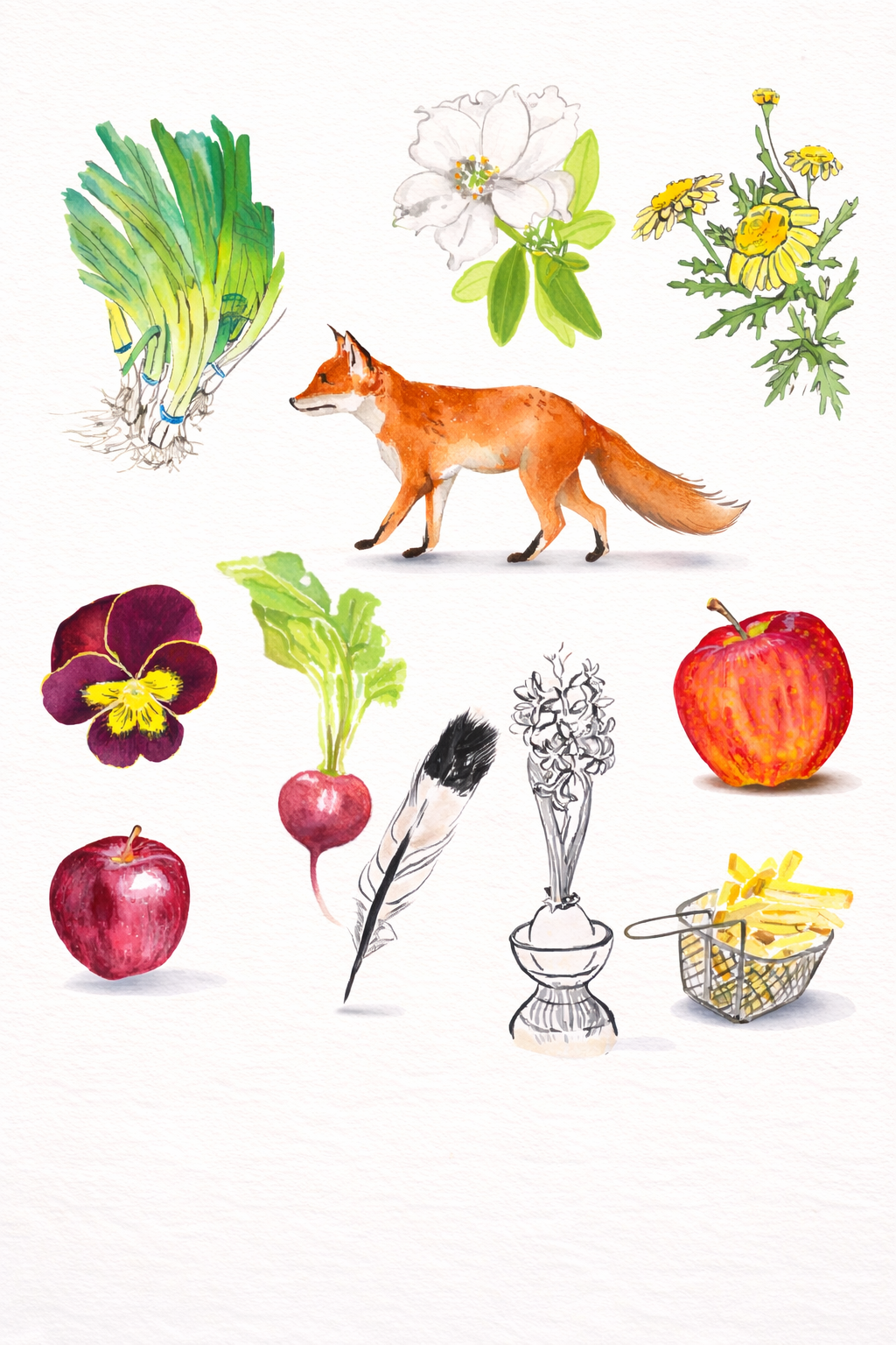 Watercolor illustration of a fox surrounded by flowers, vegetables, and fruits, including an apple, radish, garlic, and a basket of fries.