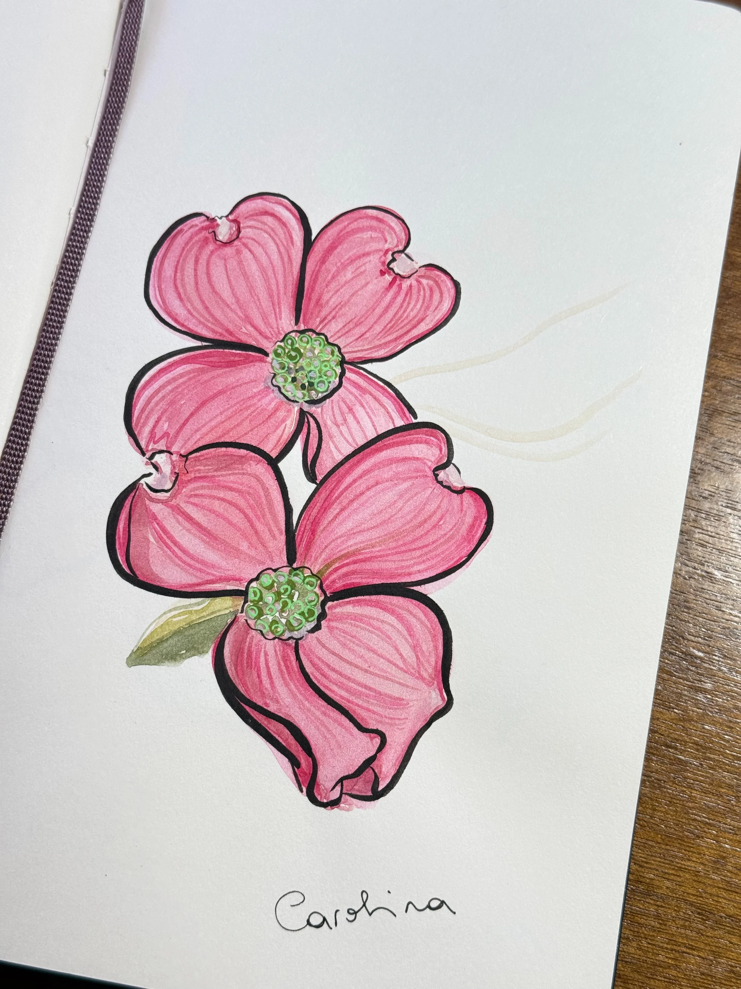 Hand-drawn illustration of two pink dogwood flowers with green centers and black outlines, with a small green leaf, on white paper labeled 'Carina'.