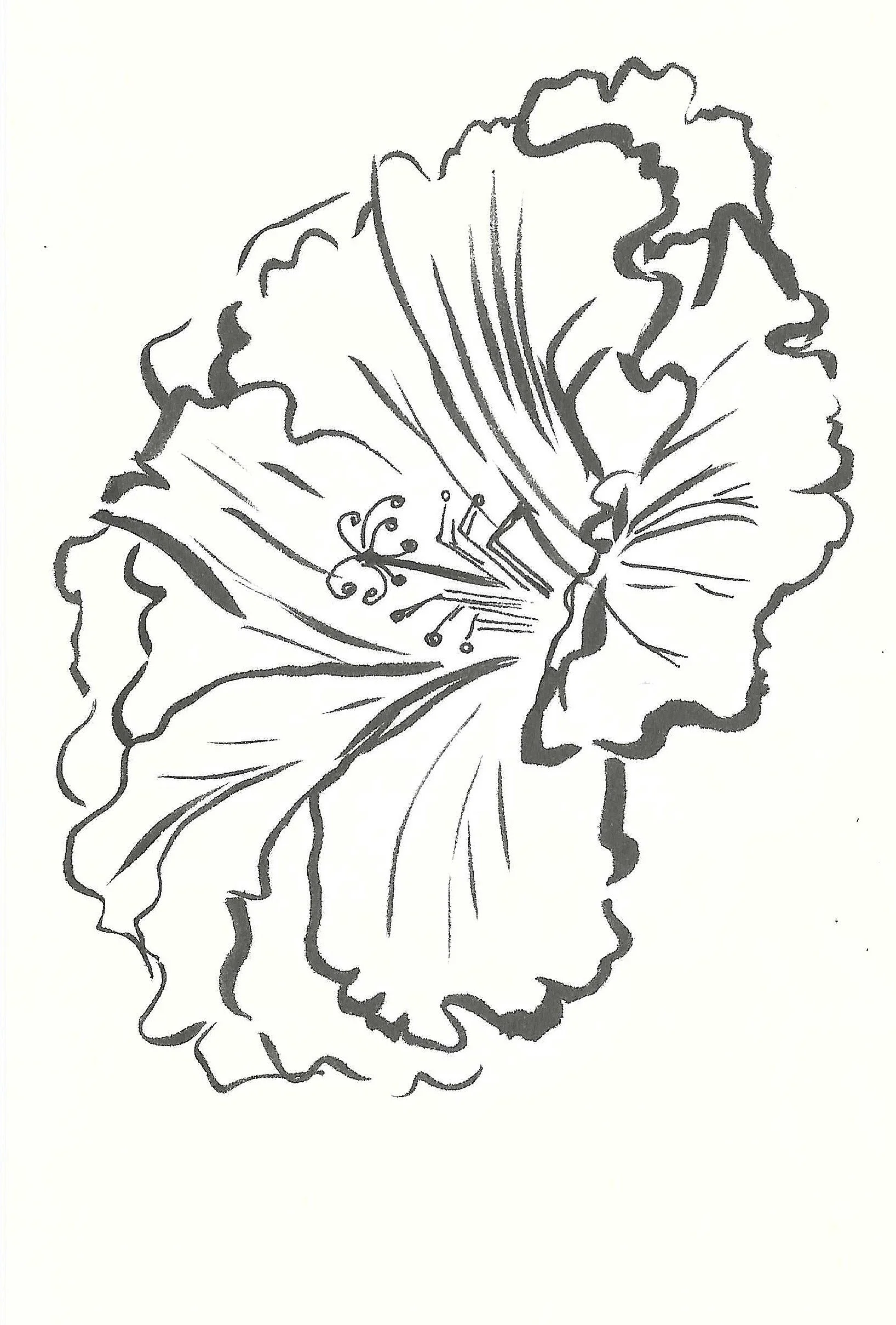 Black and white illustration of a hibiscus flower on white background.