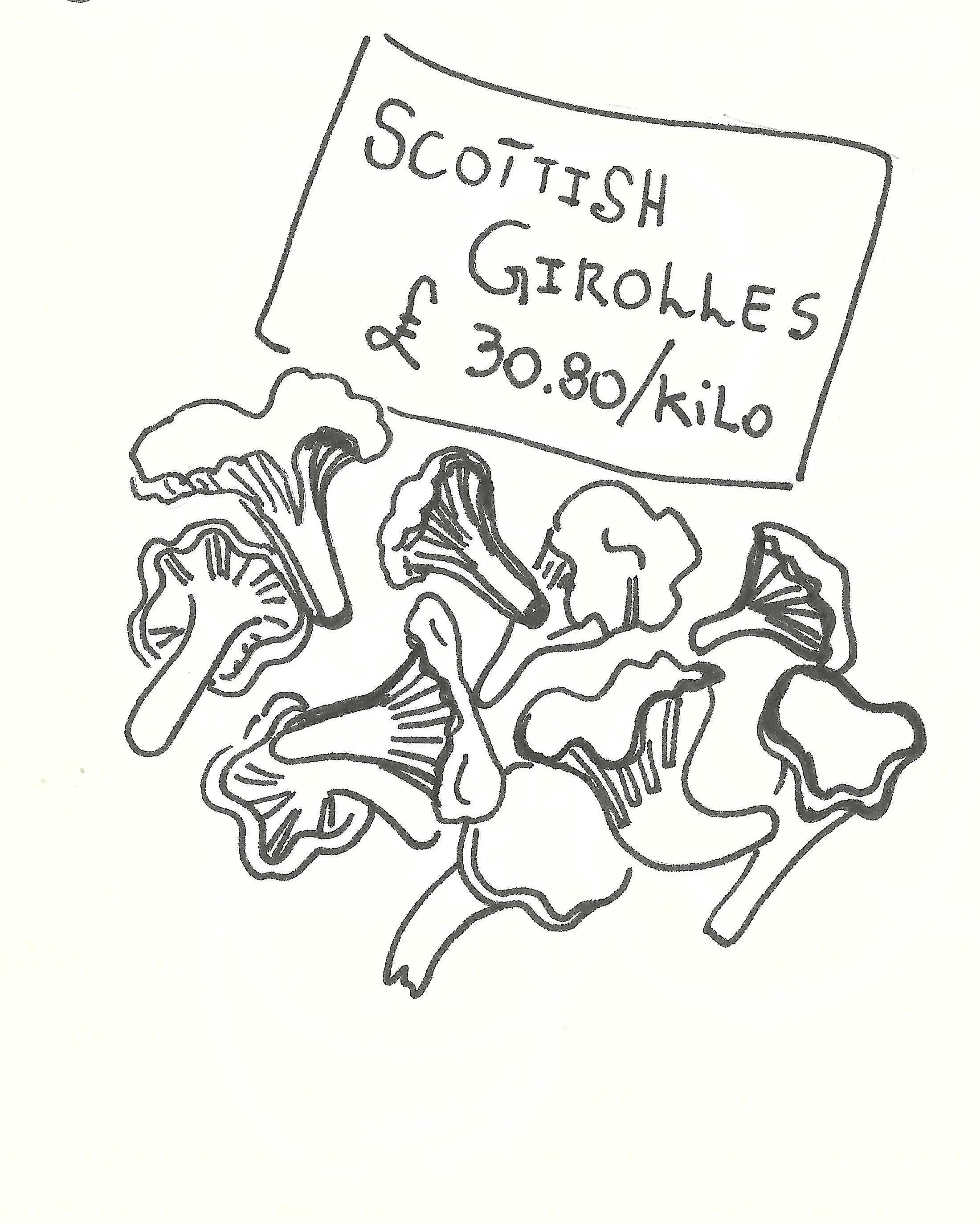Line drawing of several Scottish GIROLLES mushrooms with a sign indicating their price of $30.80 per kilo.