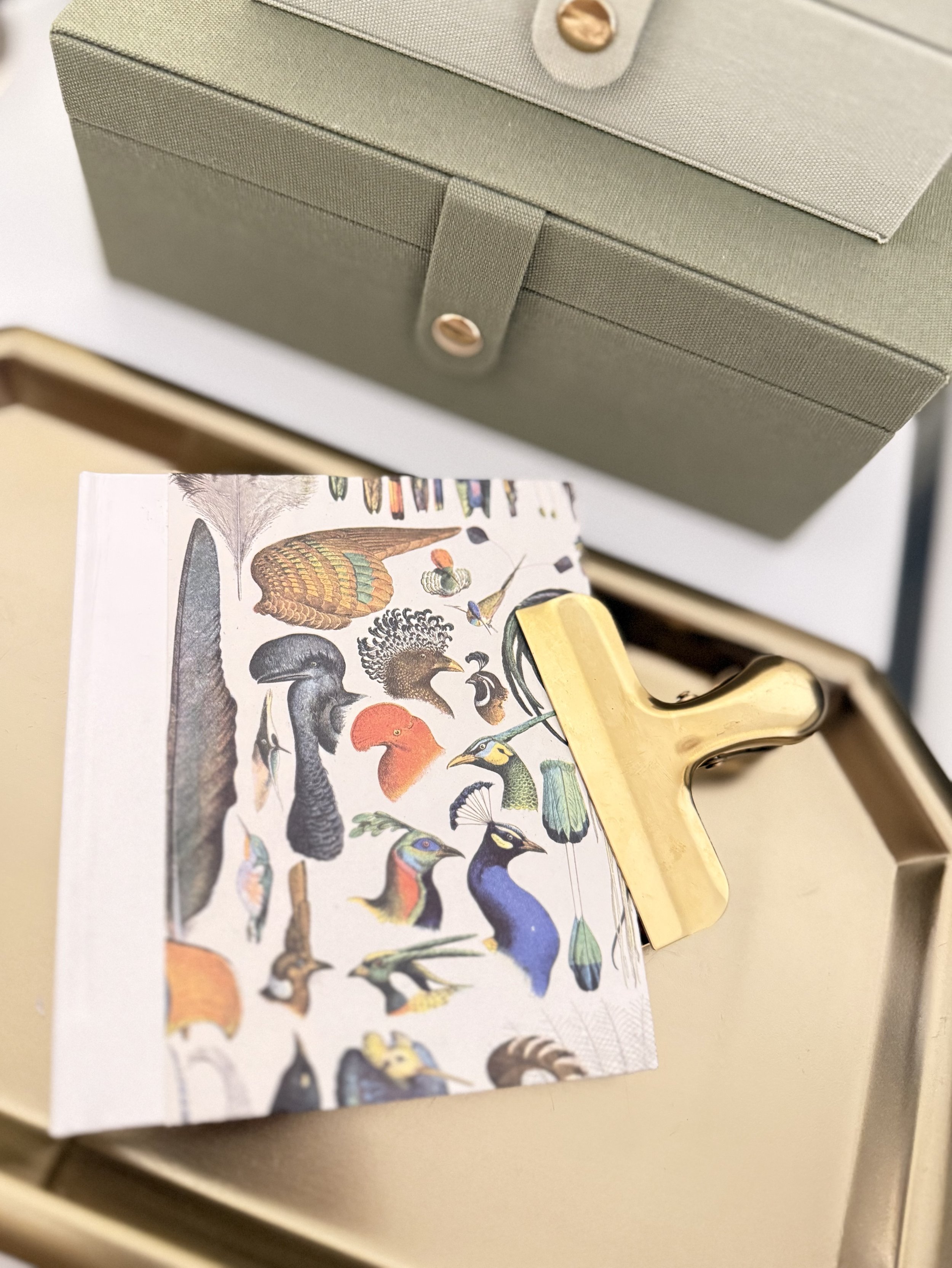 A gold binder clip holding a card with colorful illustrations of various birds, placed on a beige tray.