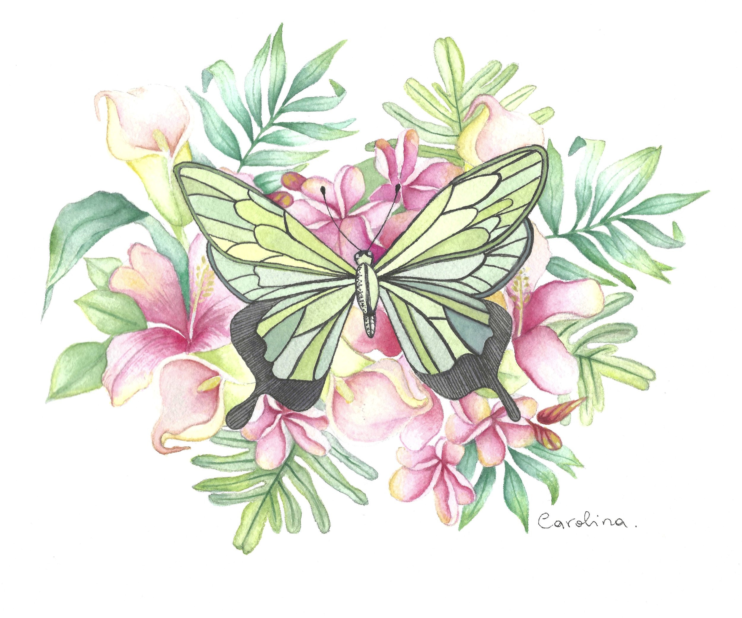 Watercolor painting of a green and black butterfly perched on a bouquet of pink and yellow flowers with green leaves. Signed 'Carolina' at the bottom right.