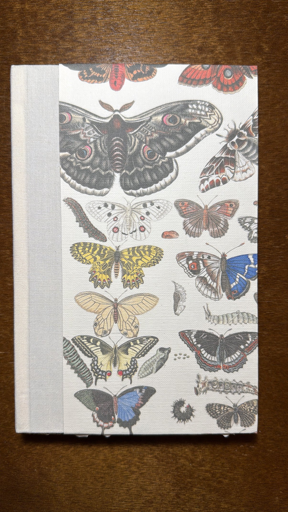 Notebook with butterfly and moth illustrations covering the cover.