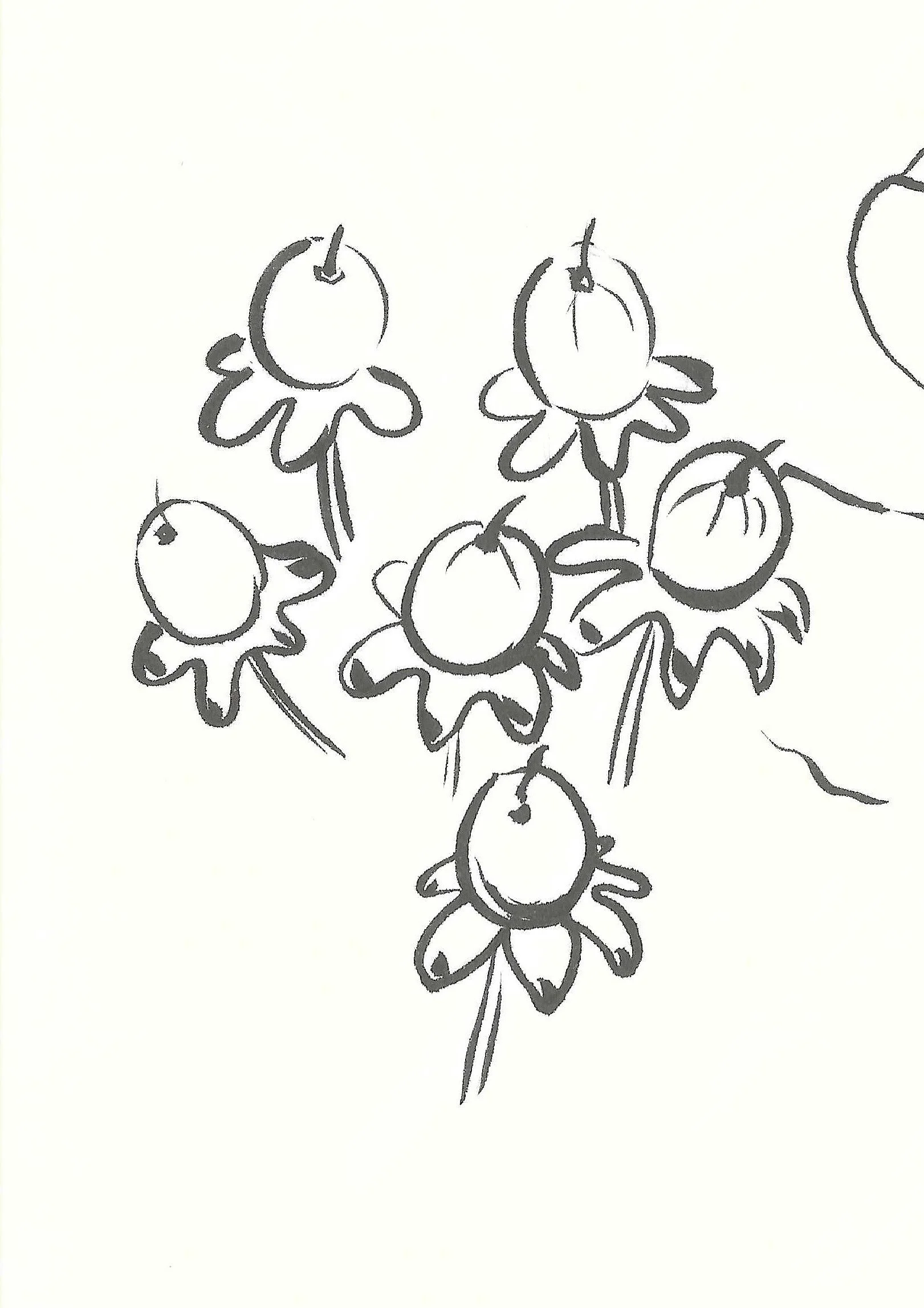 Black and white sketch of a cluster of strawberries, each with leaves and a stem.