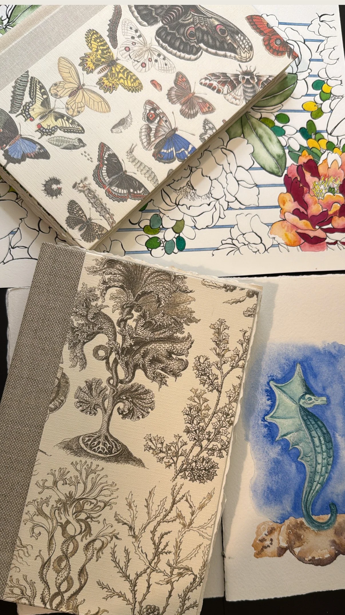 Collection of butterfly illustrations, botanical sketches, and a seahorse watercolor painting.