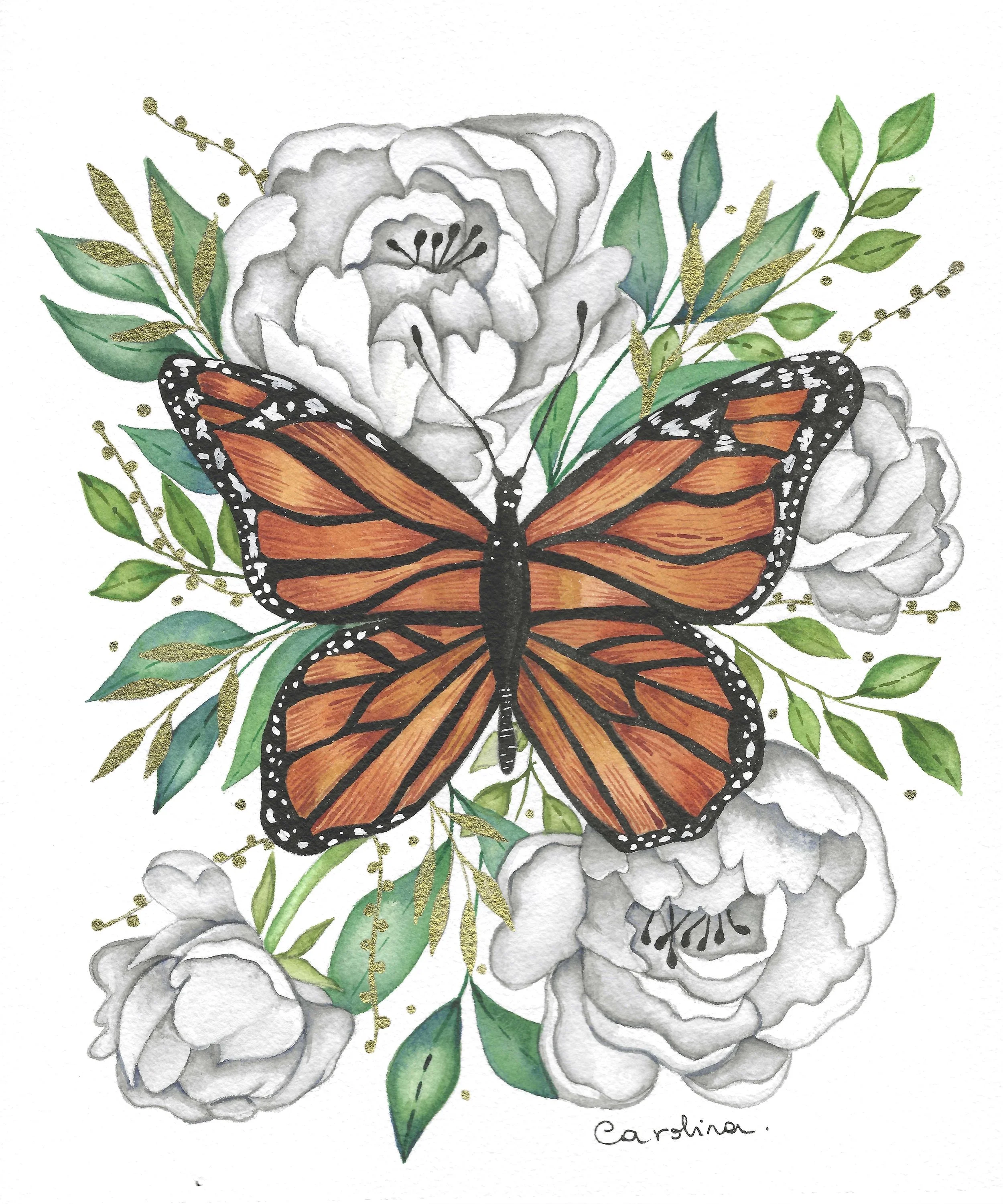 A watercolor illustration of a monarch butterfly with orange, black, and white wings, surrounded by white flowers and green leaves, signed by Carolina.