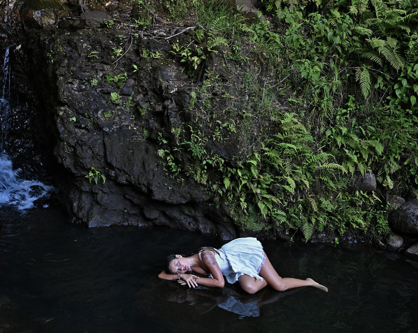 Screen Shot 2026-01-20 at 11.41.54 AM.png