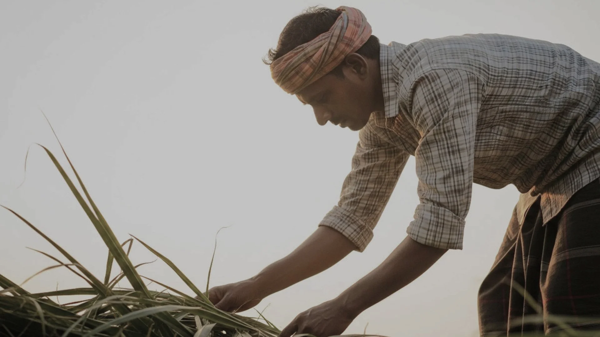 Greenovation - Hero.jpg